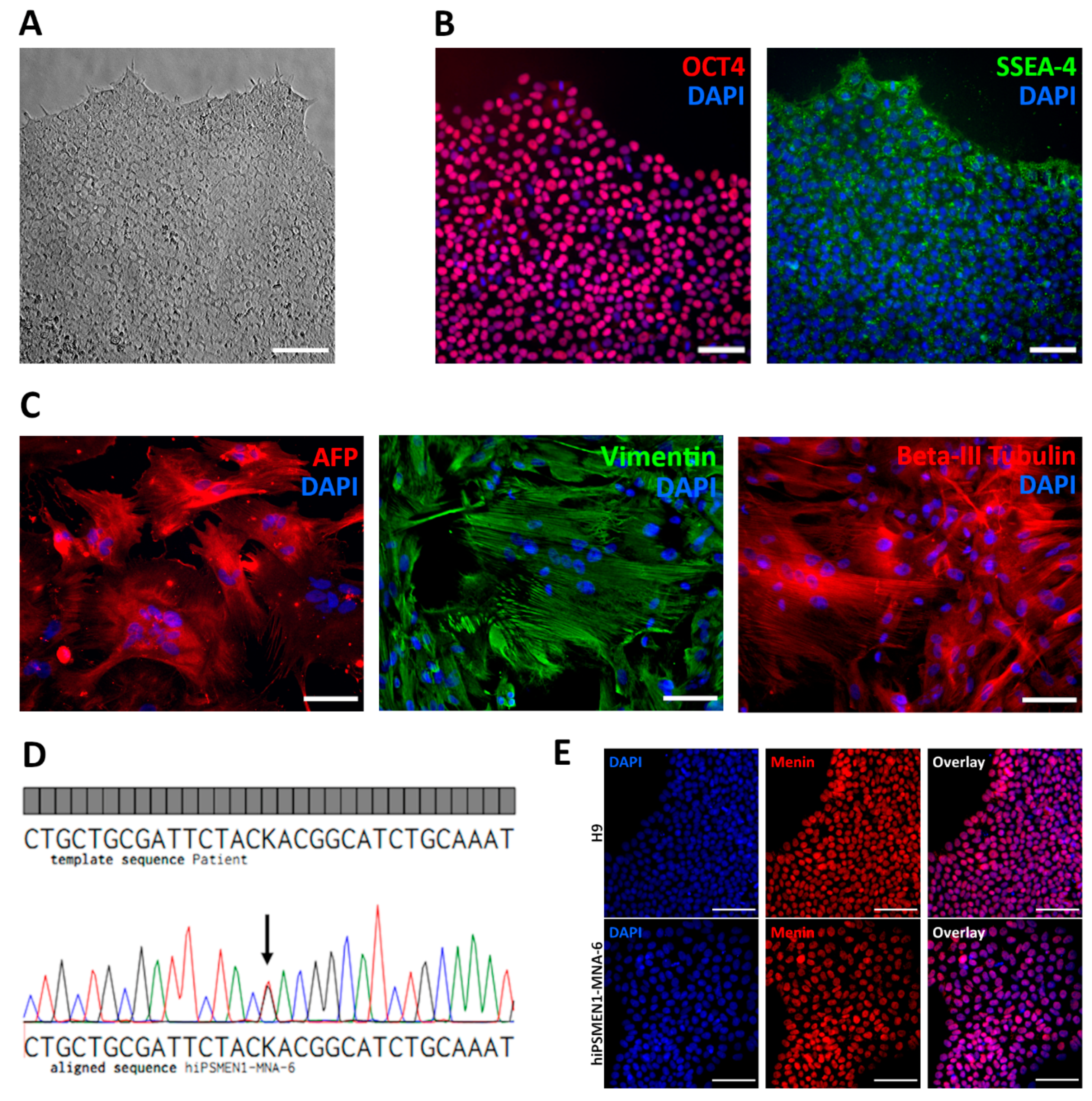Ijms 22 12054 g001 550