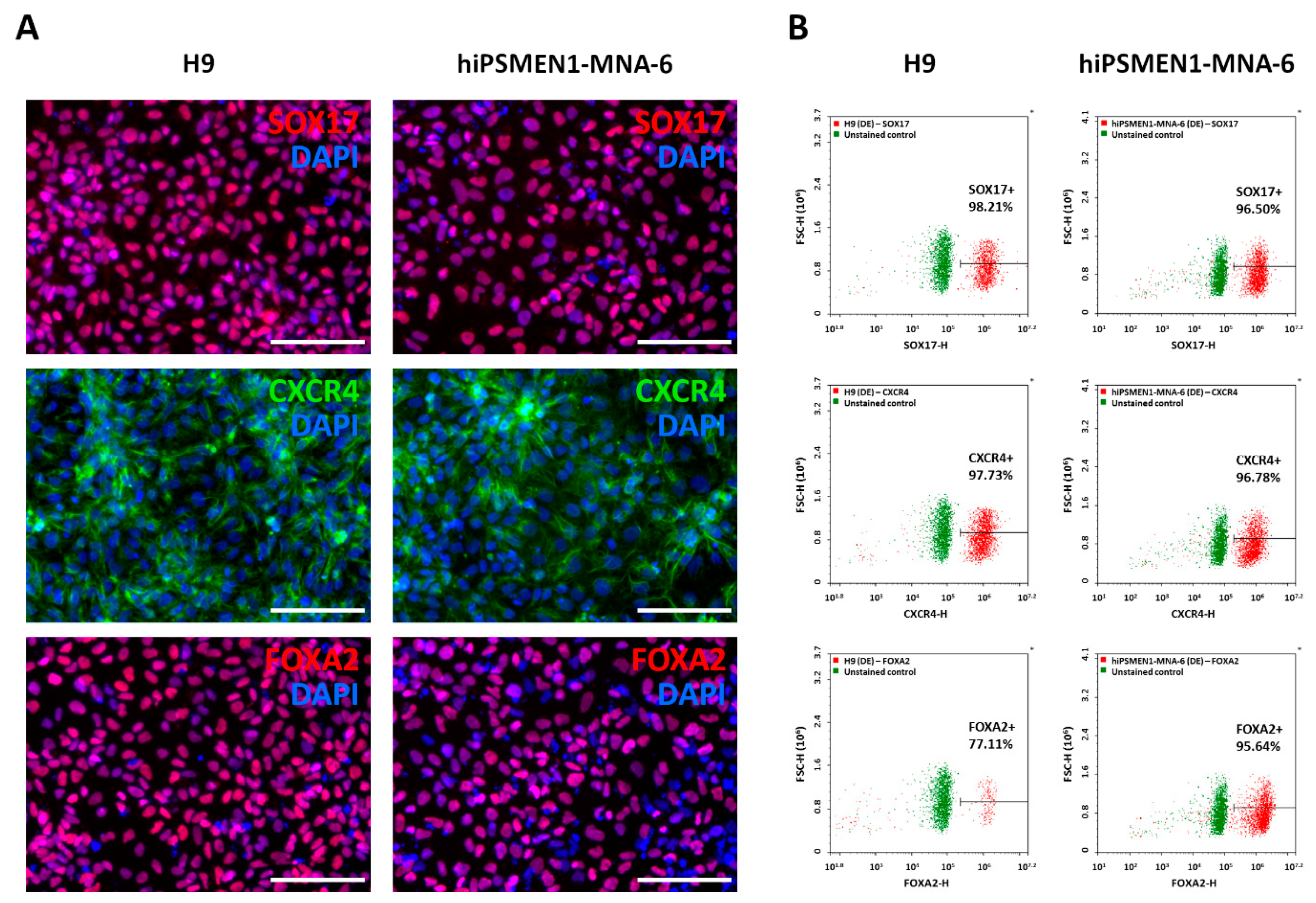 Ijms 22 12054 g002 550