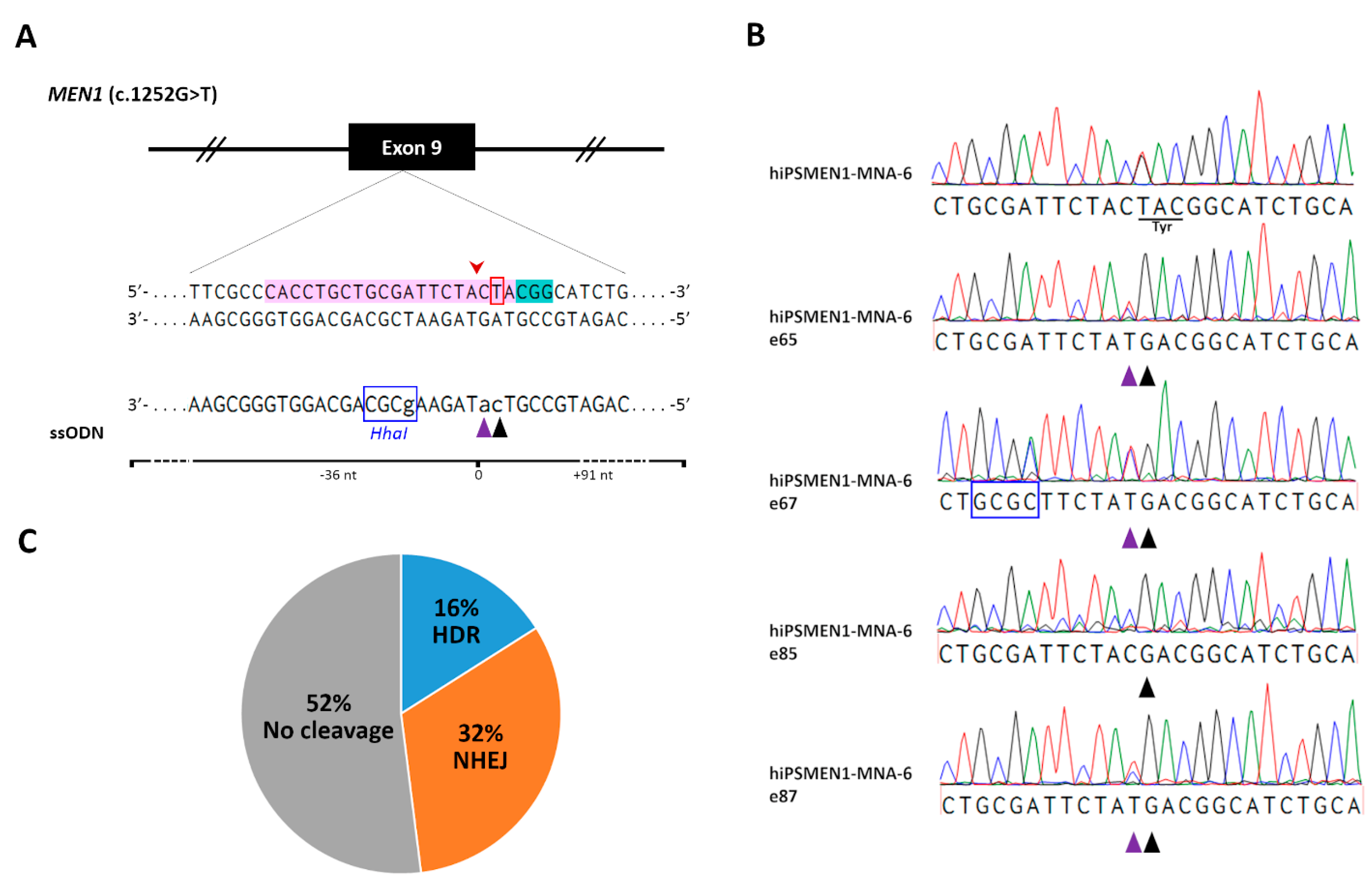 Ijms 22 12054 g003 550