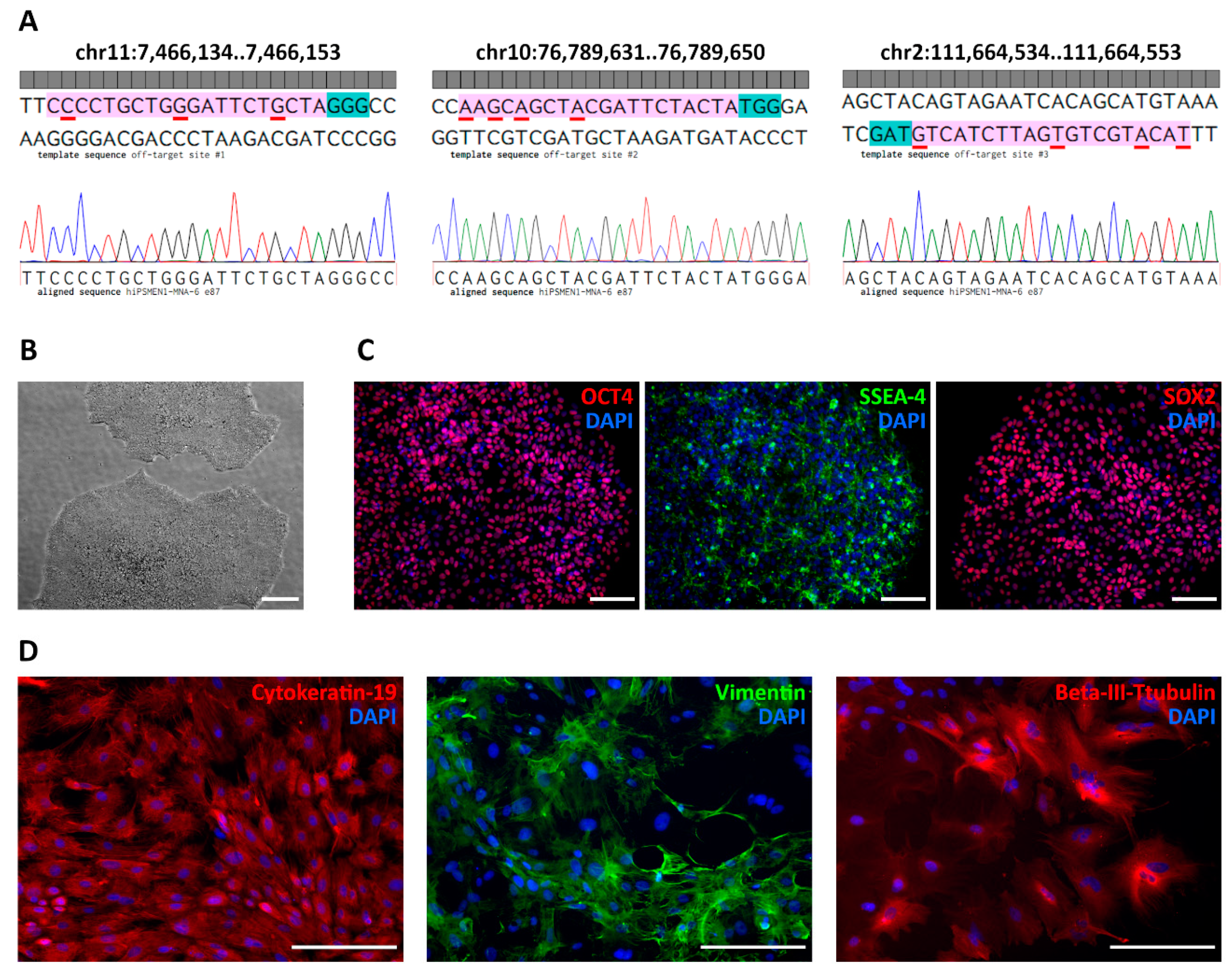Ijms 22 12054 g004 550