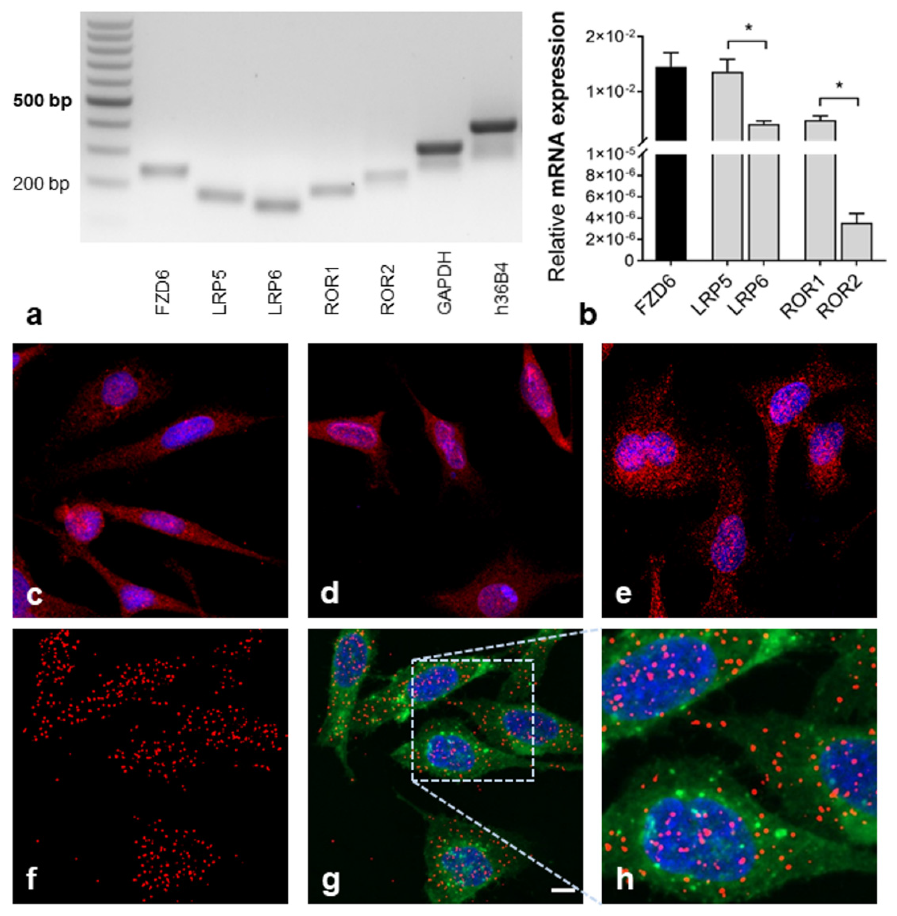 Ijms 22 12057 g001 550