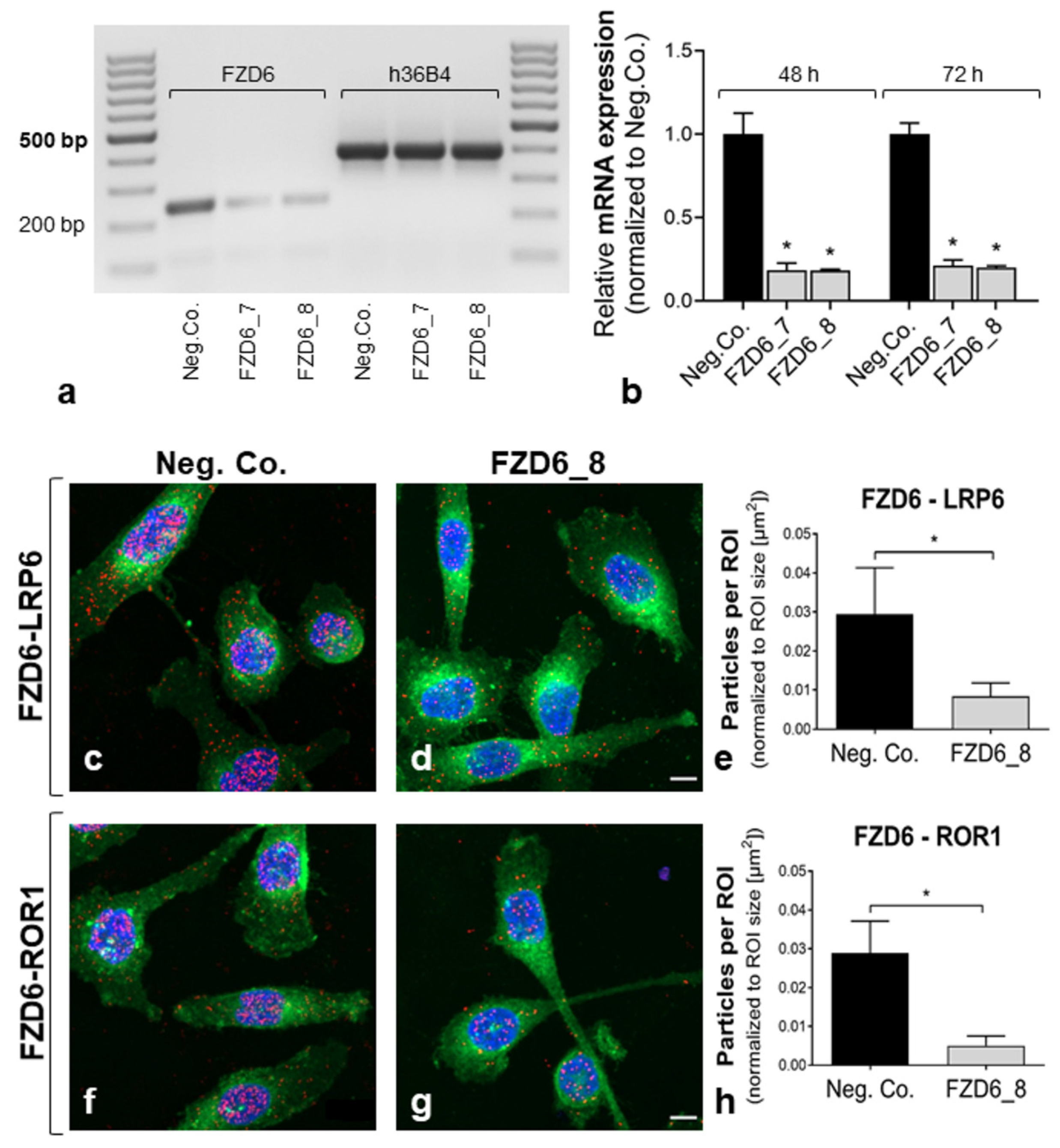 Ijms 22 12057 g002 550