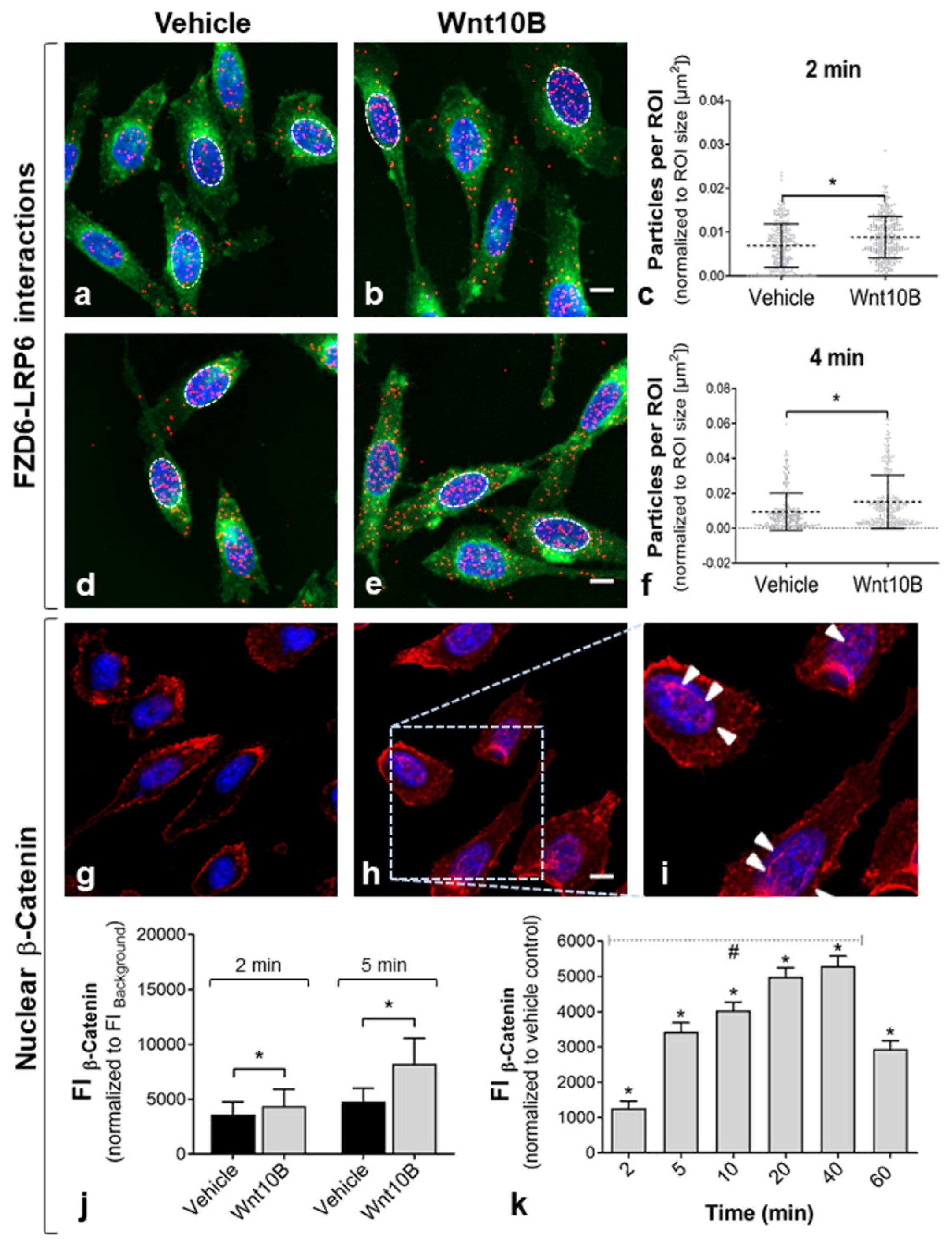 Ijms 22 12057 g003 550