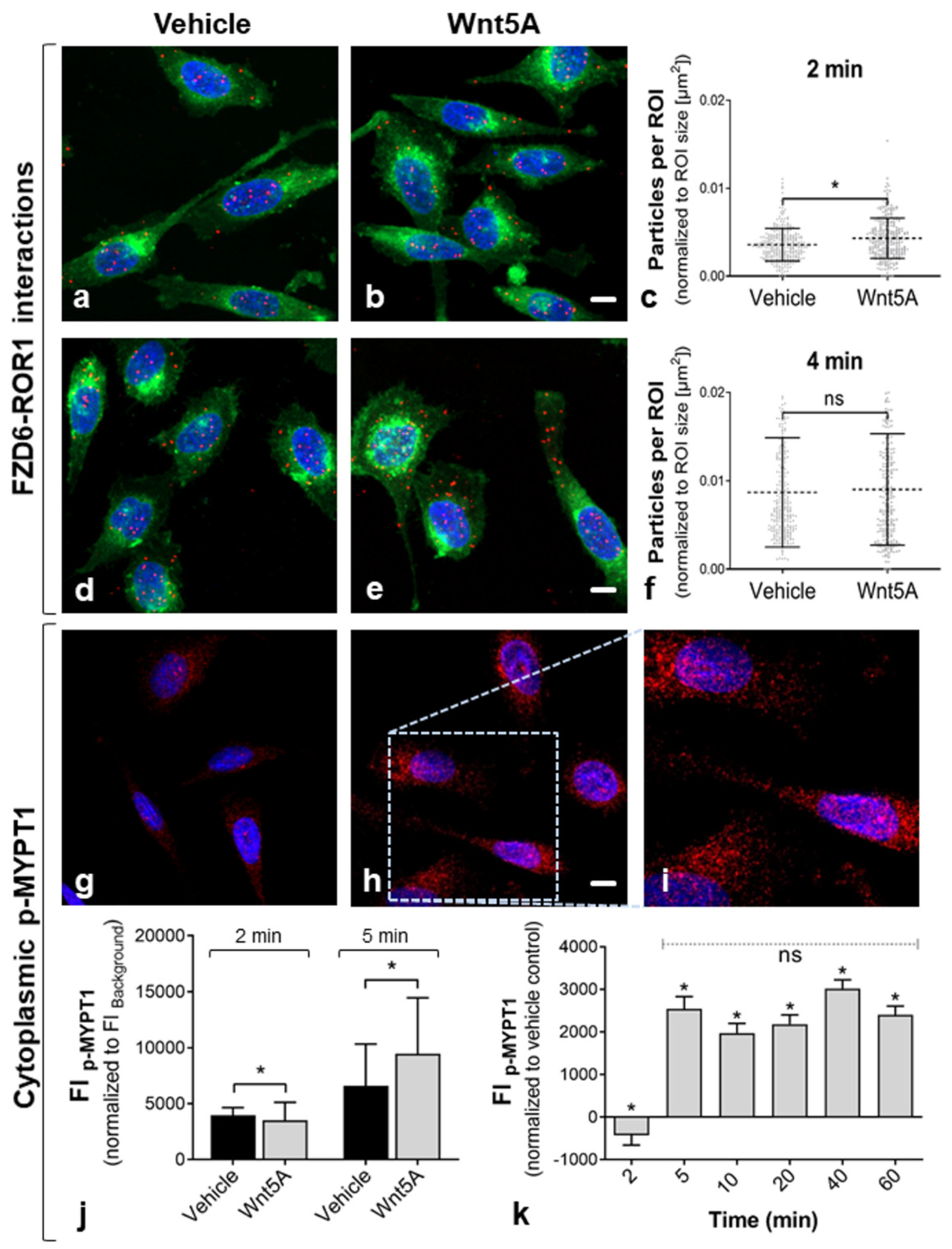 Ijms 22 12057 g004 550
