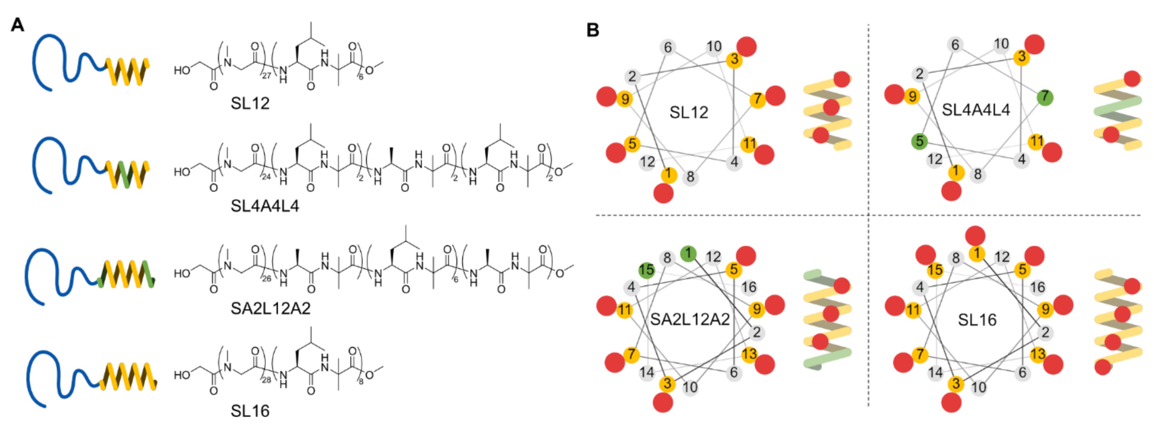 Ijms 22 12075 g001 550