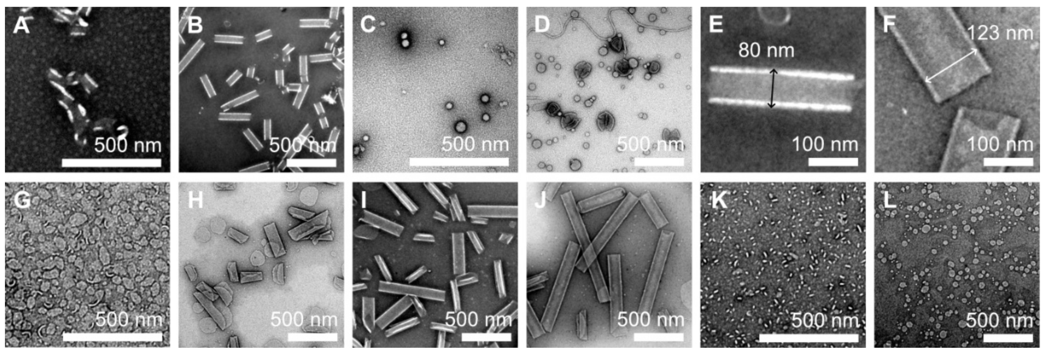 Ijms 22 12075 g003 550