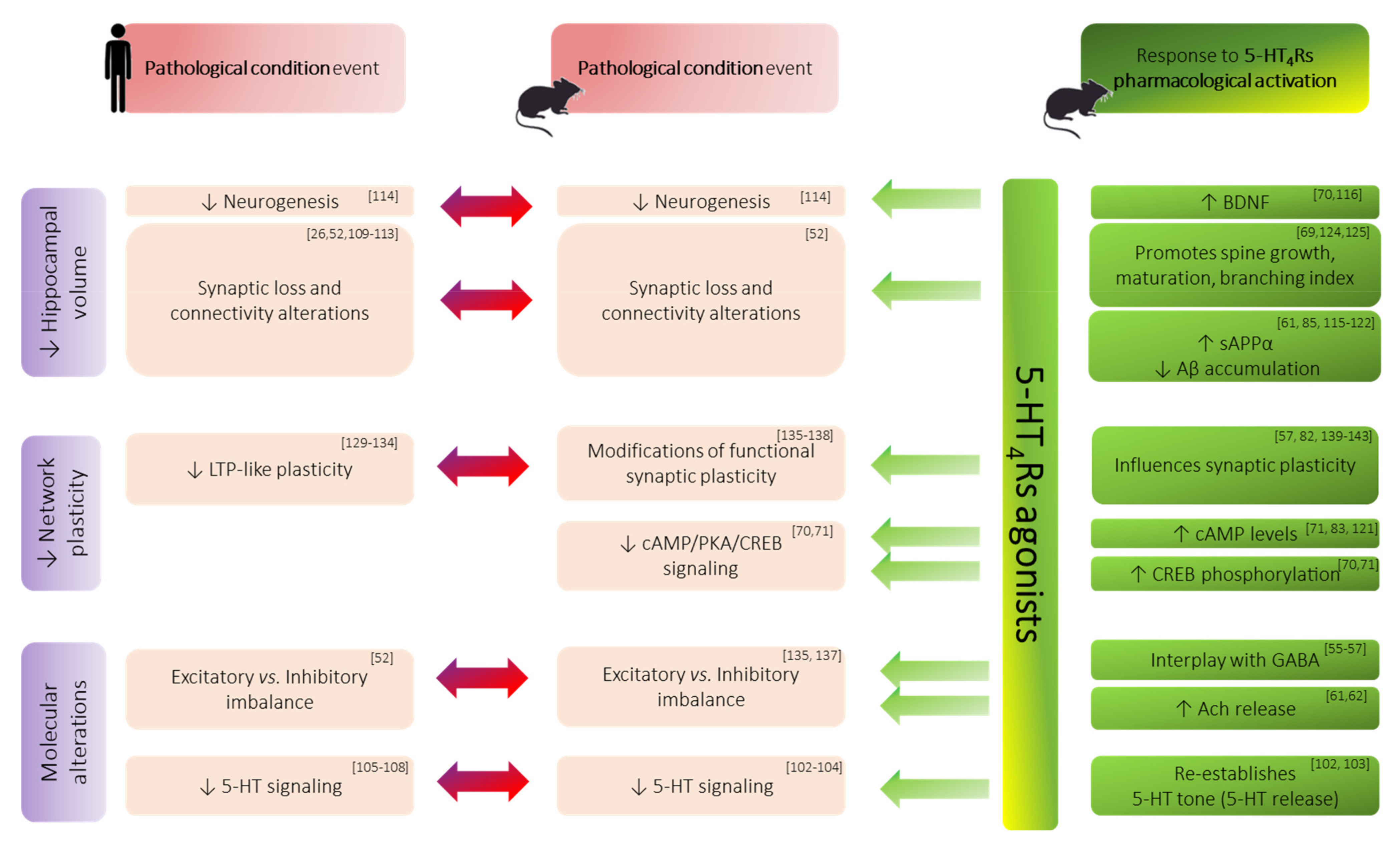 Ijms 22 12082 g002 Ijms 22 12082 g002