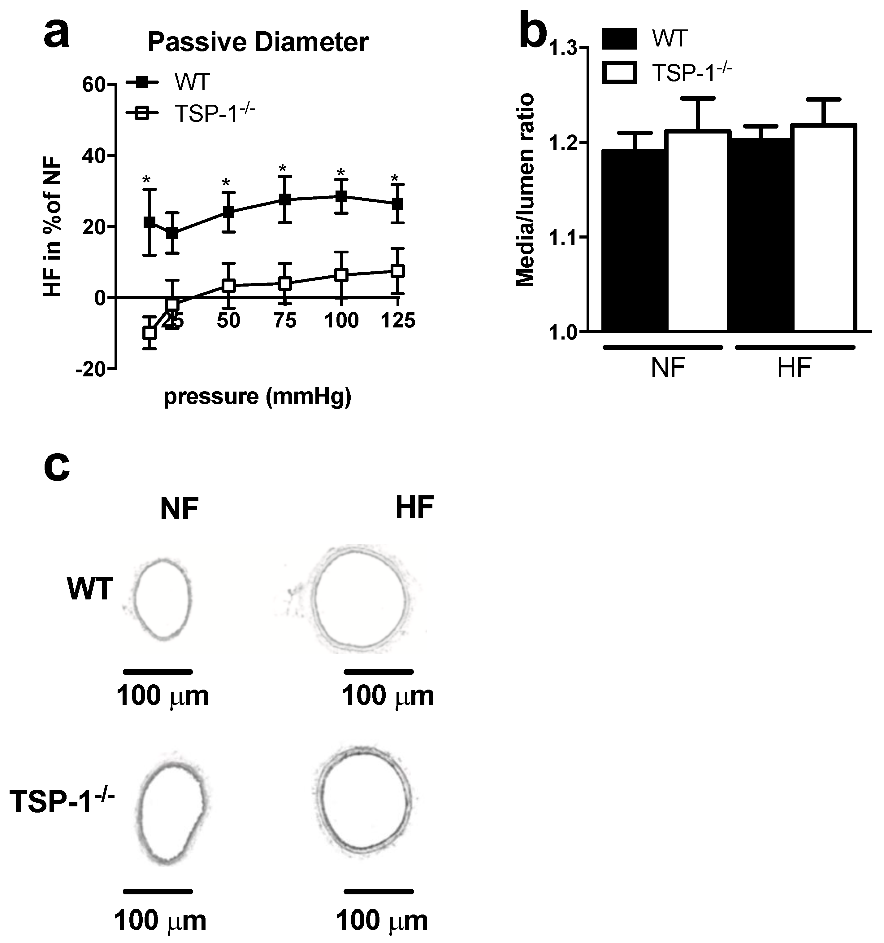 Ijms 22 12086 g001 Ijms 22 12086 g001
