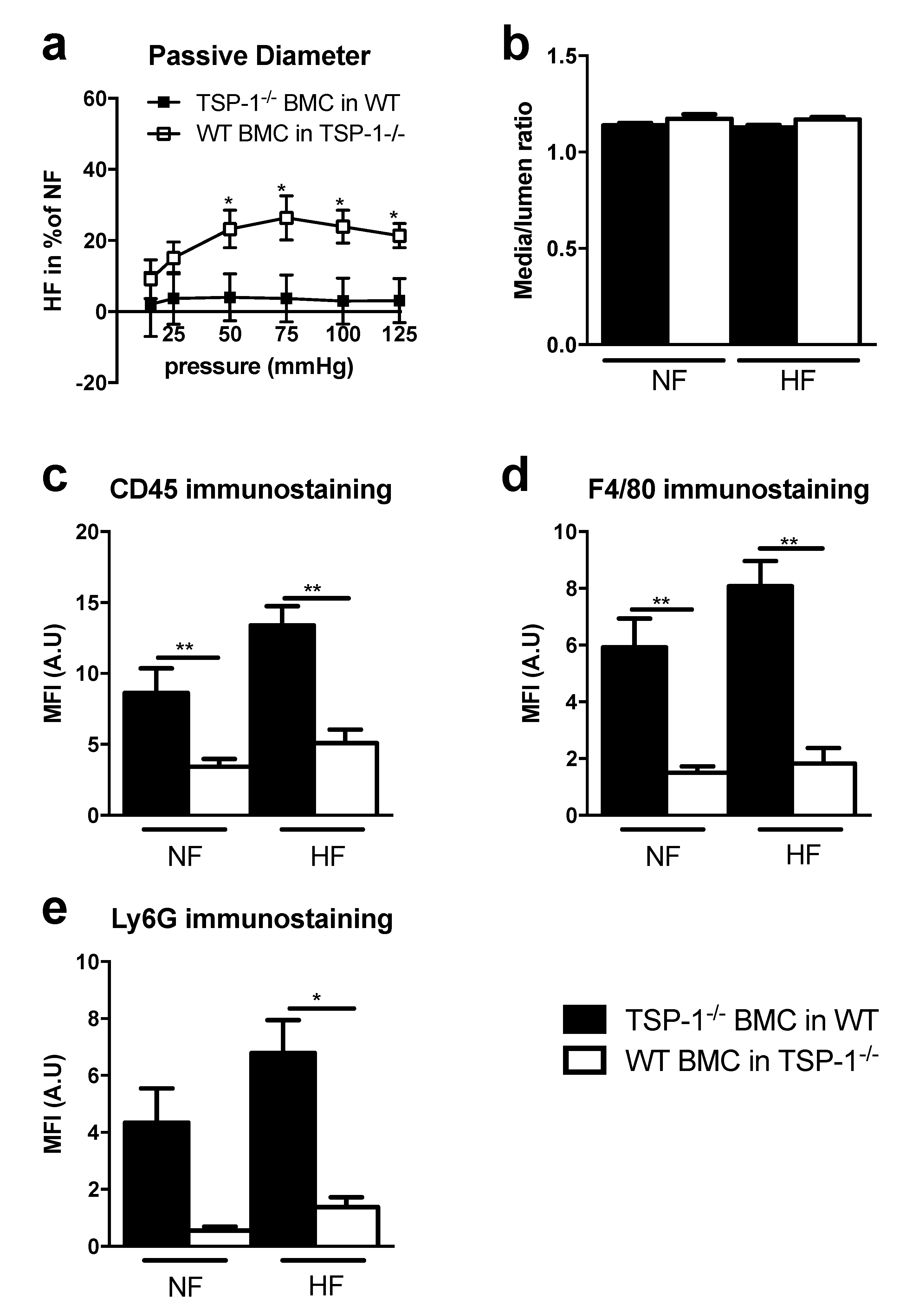 Ijms 22 12086 g002 Ijms 22 12086 g002