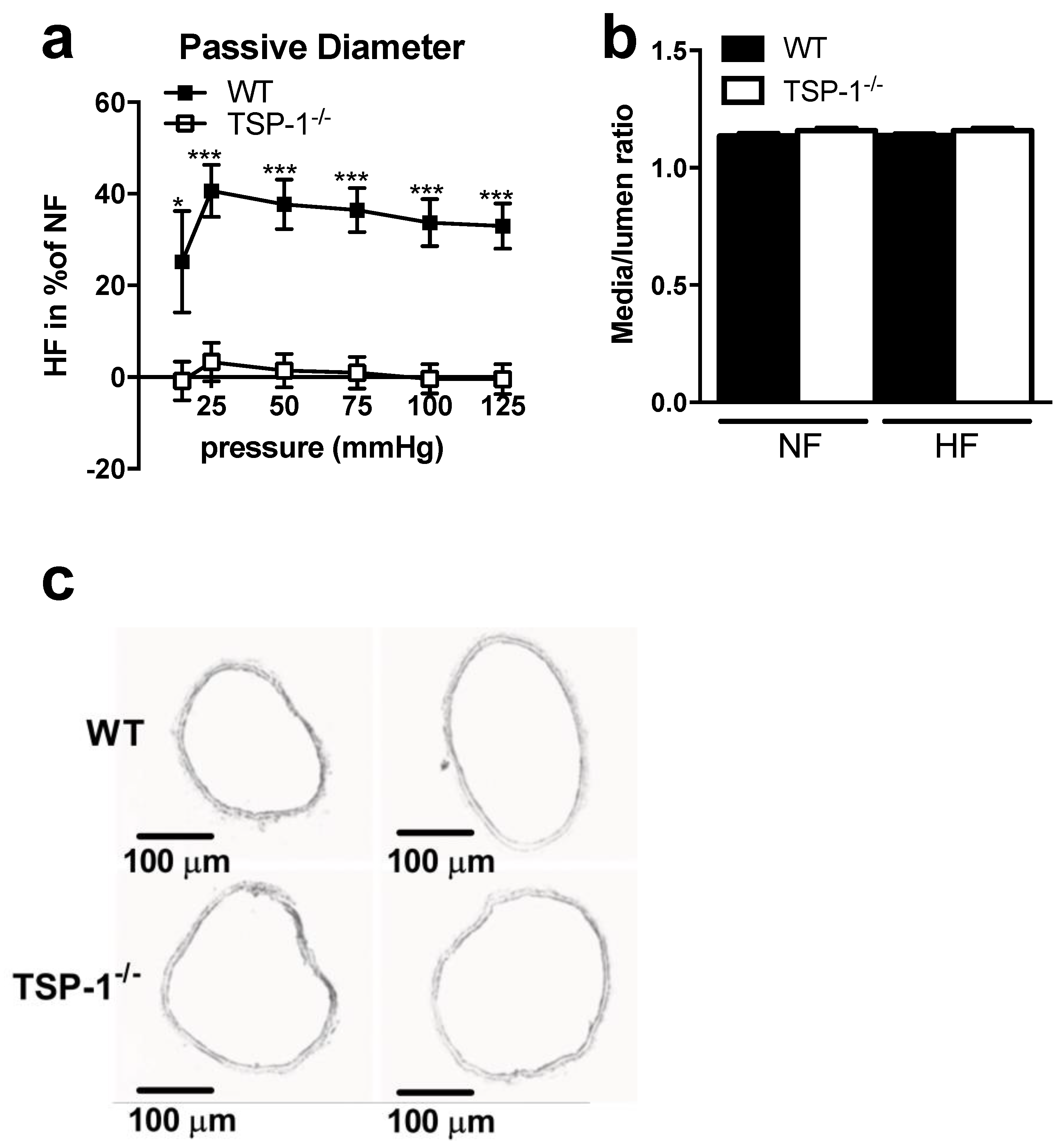 Ijms 22 12086 g003 Ijms 22 12086 g003