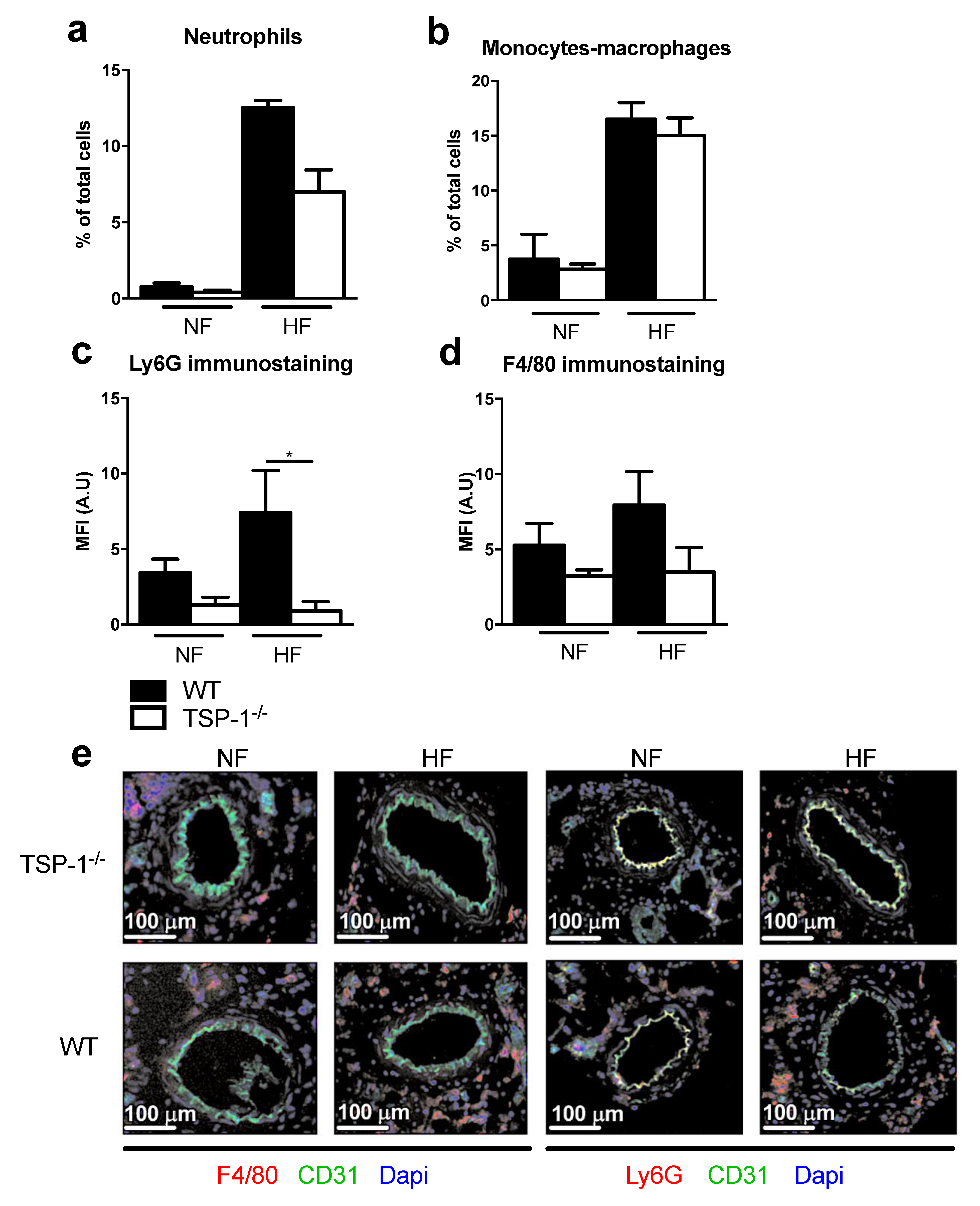 Ijms 22 12086 g004 Ijms 22 12086 g004