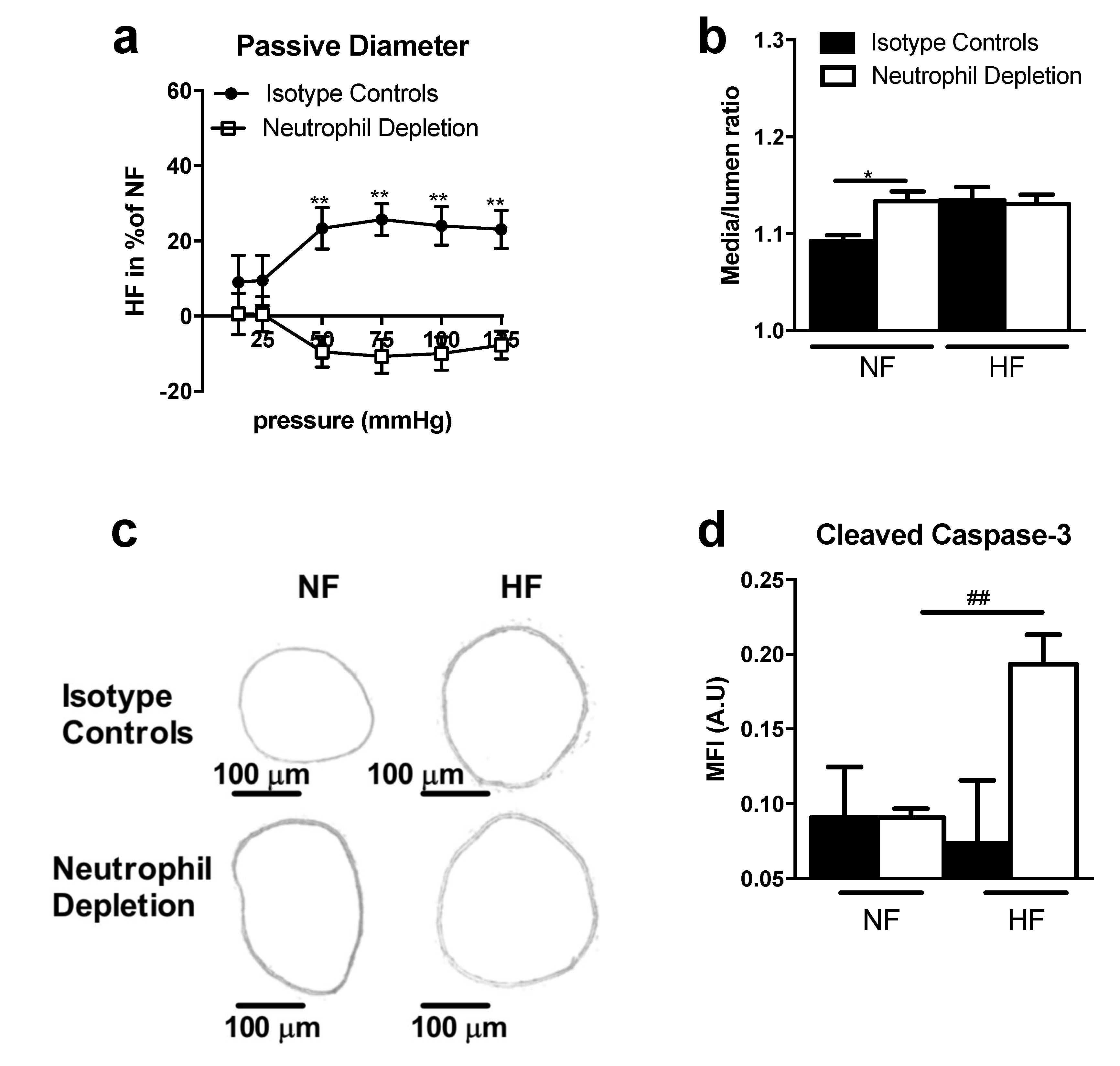 Ijms 22 12086 g005 Ijms 22 12086 g005