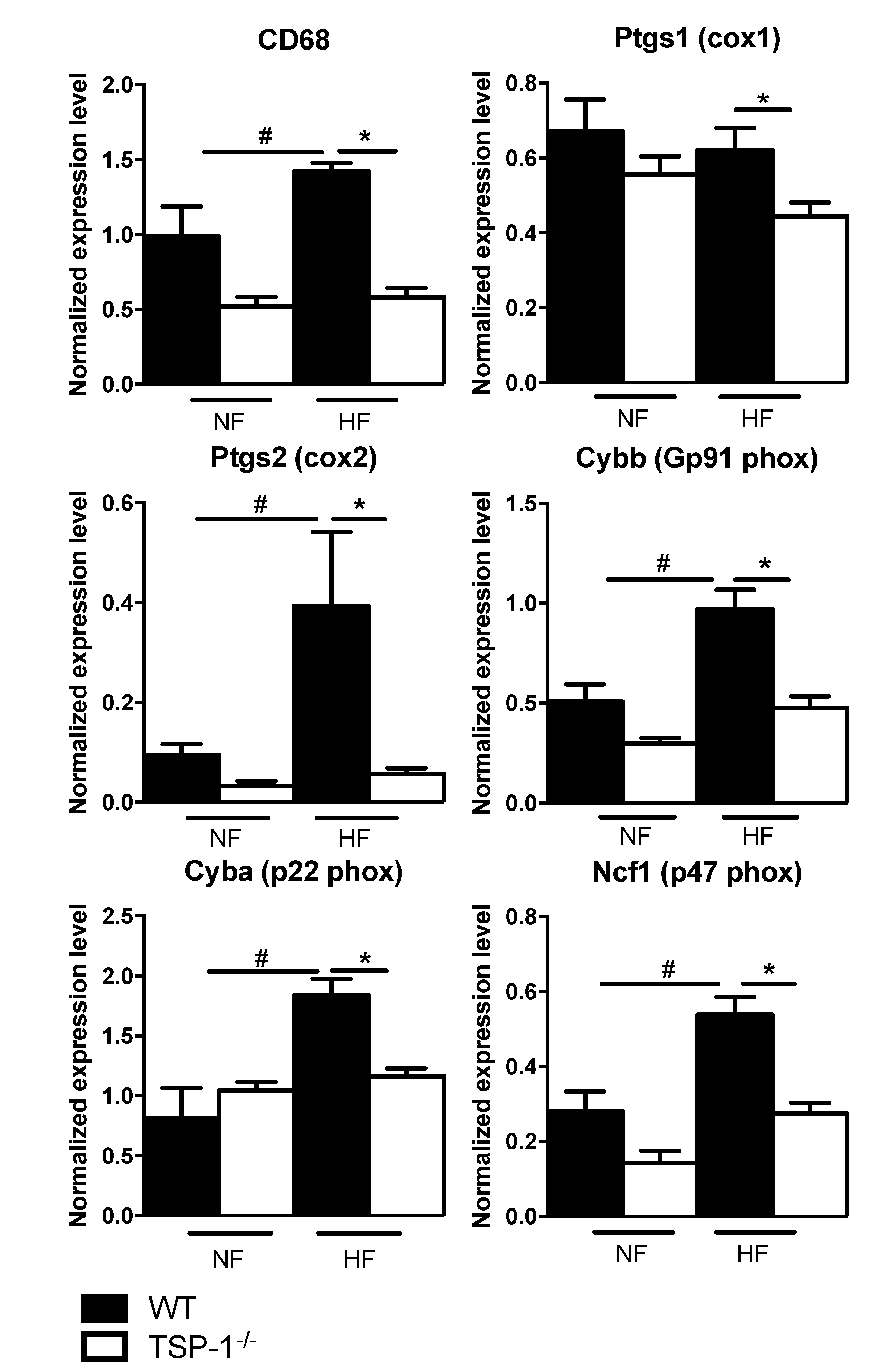 Ijms 22 12086 g006 Ijms 22 12086 g006