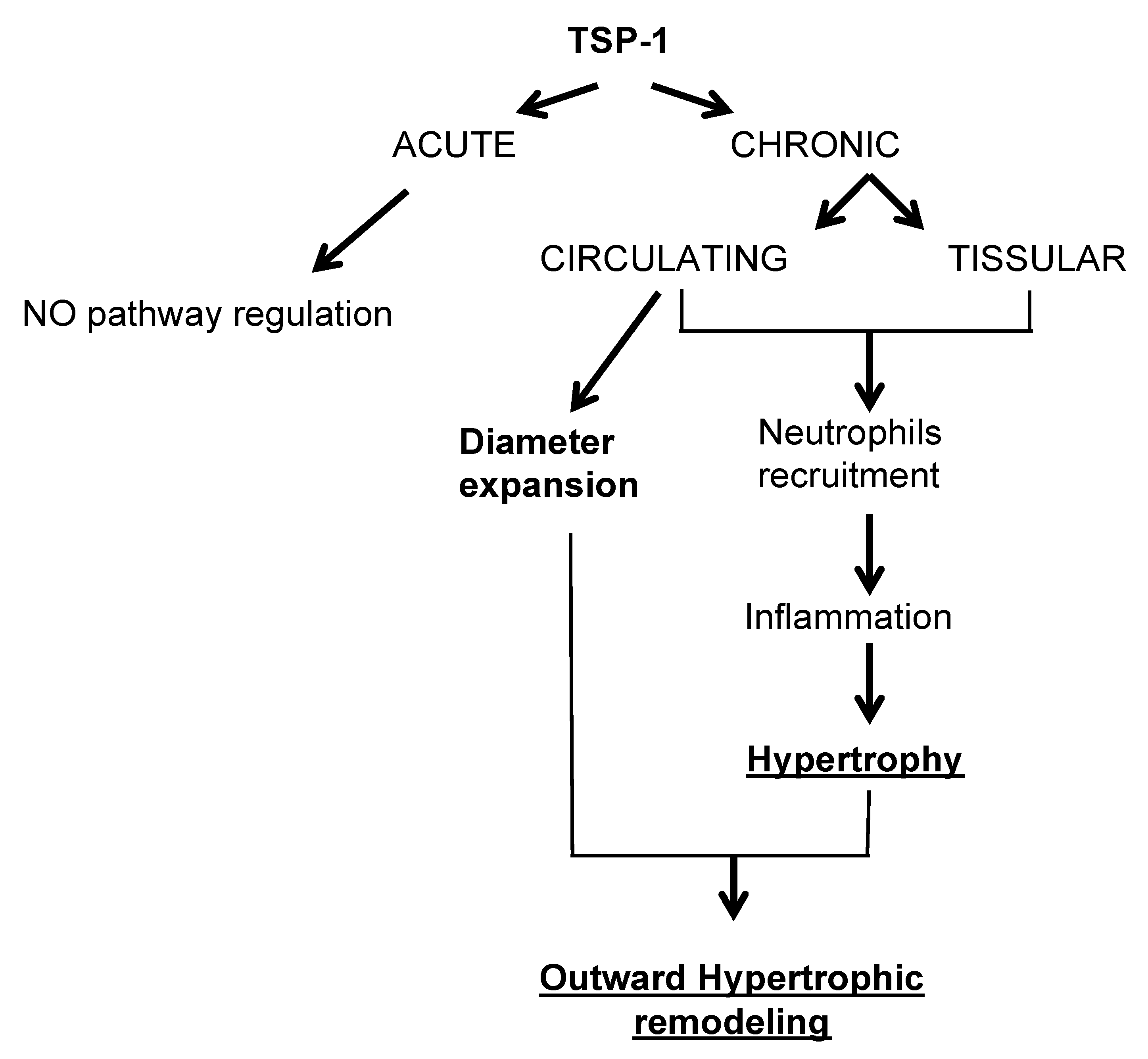Ijms 22 12086 g007 Ijms 22 12086 g007