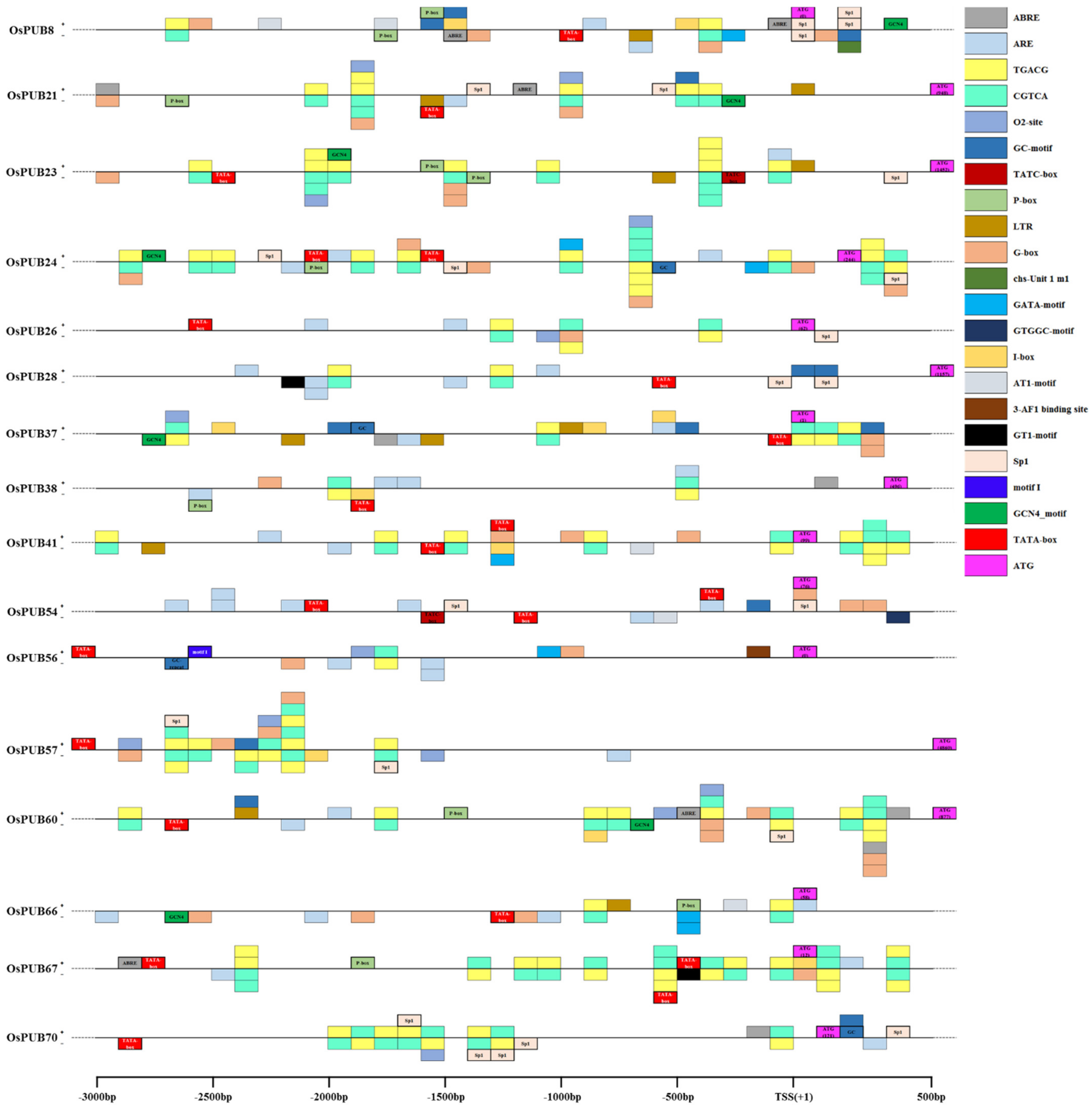 Ijms 22 12088 g007 550