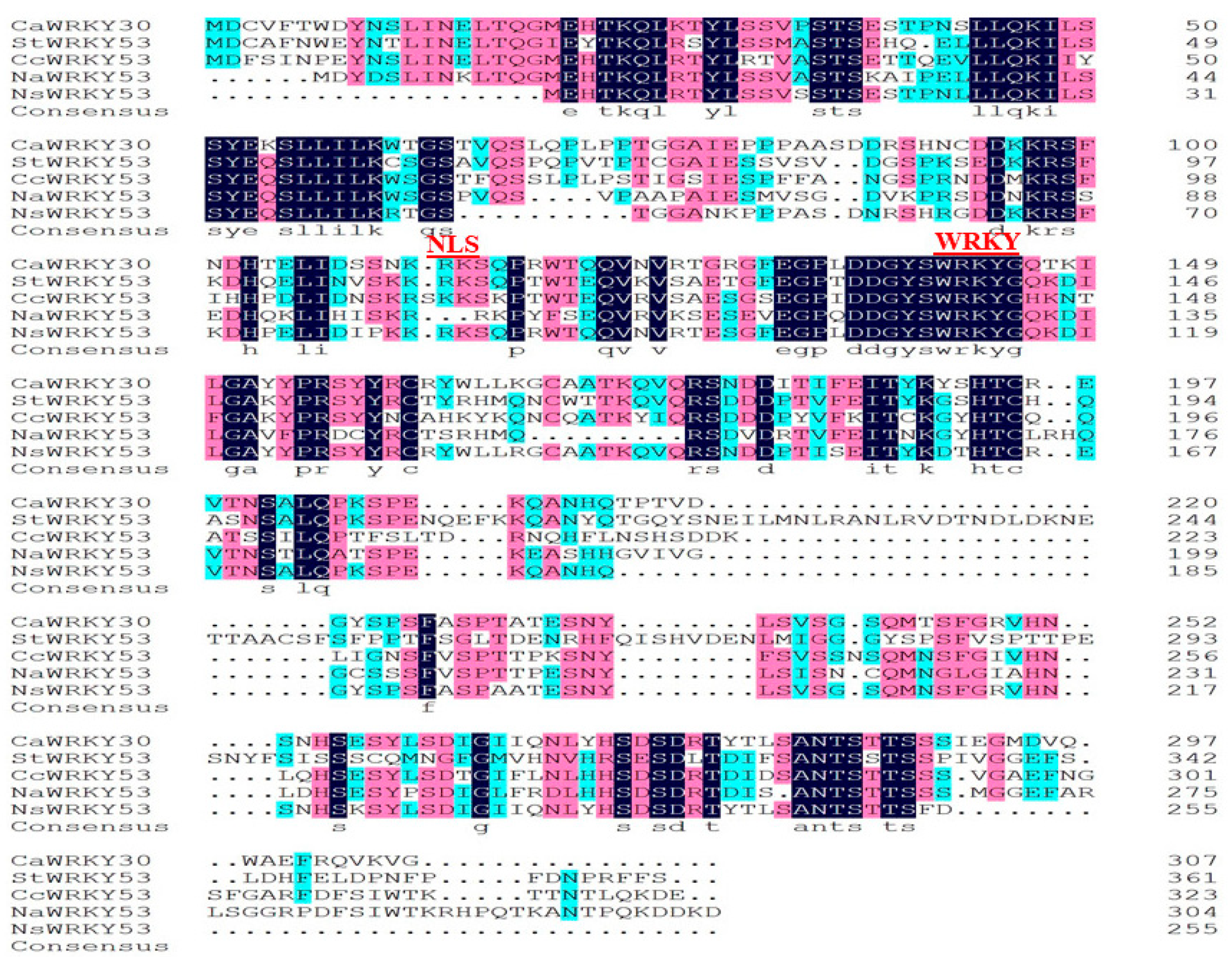 Ijms 22 12091 g001 550