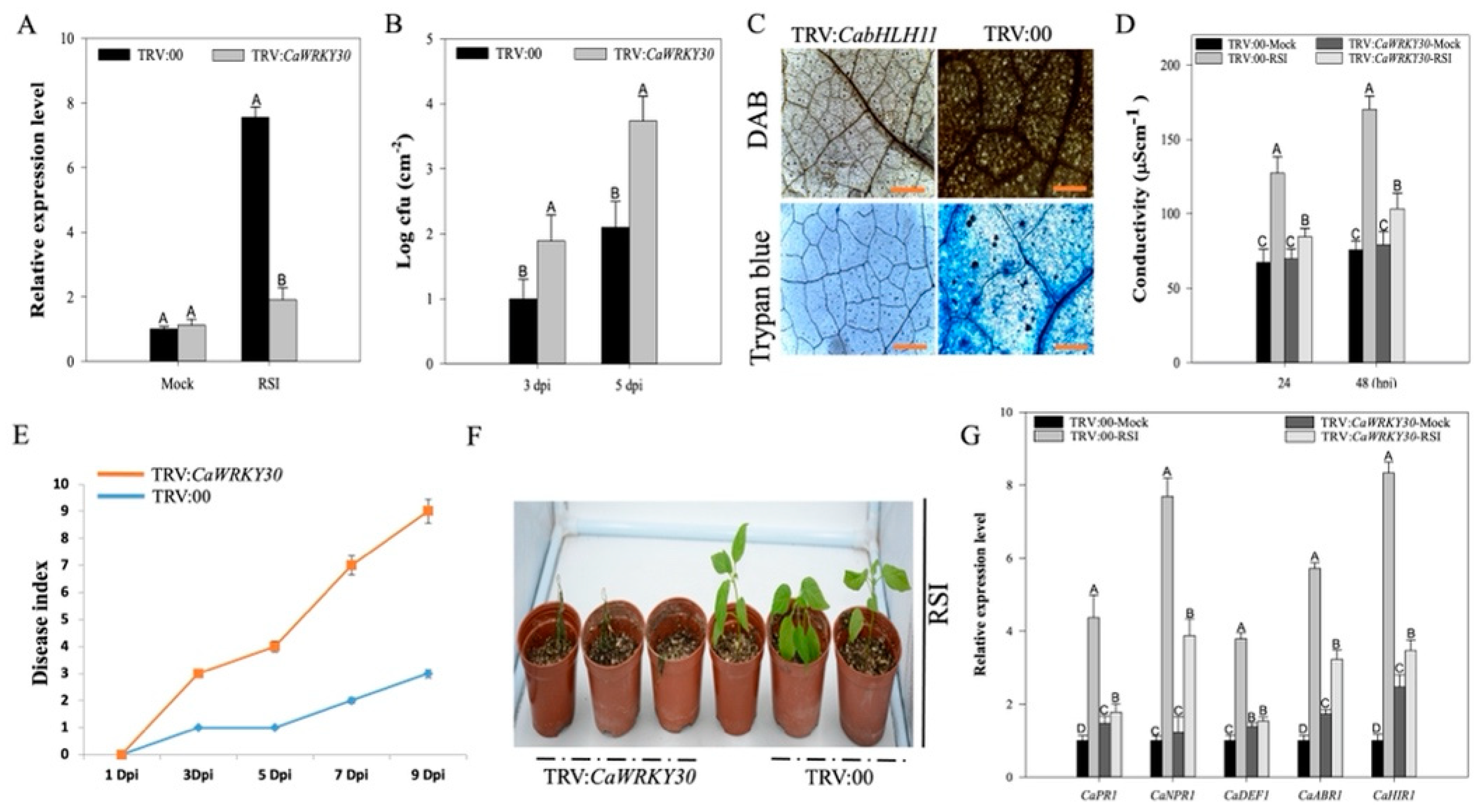 Ijms 22 12091 g004 550