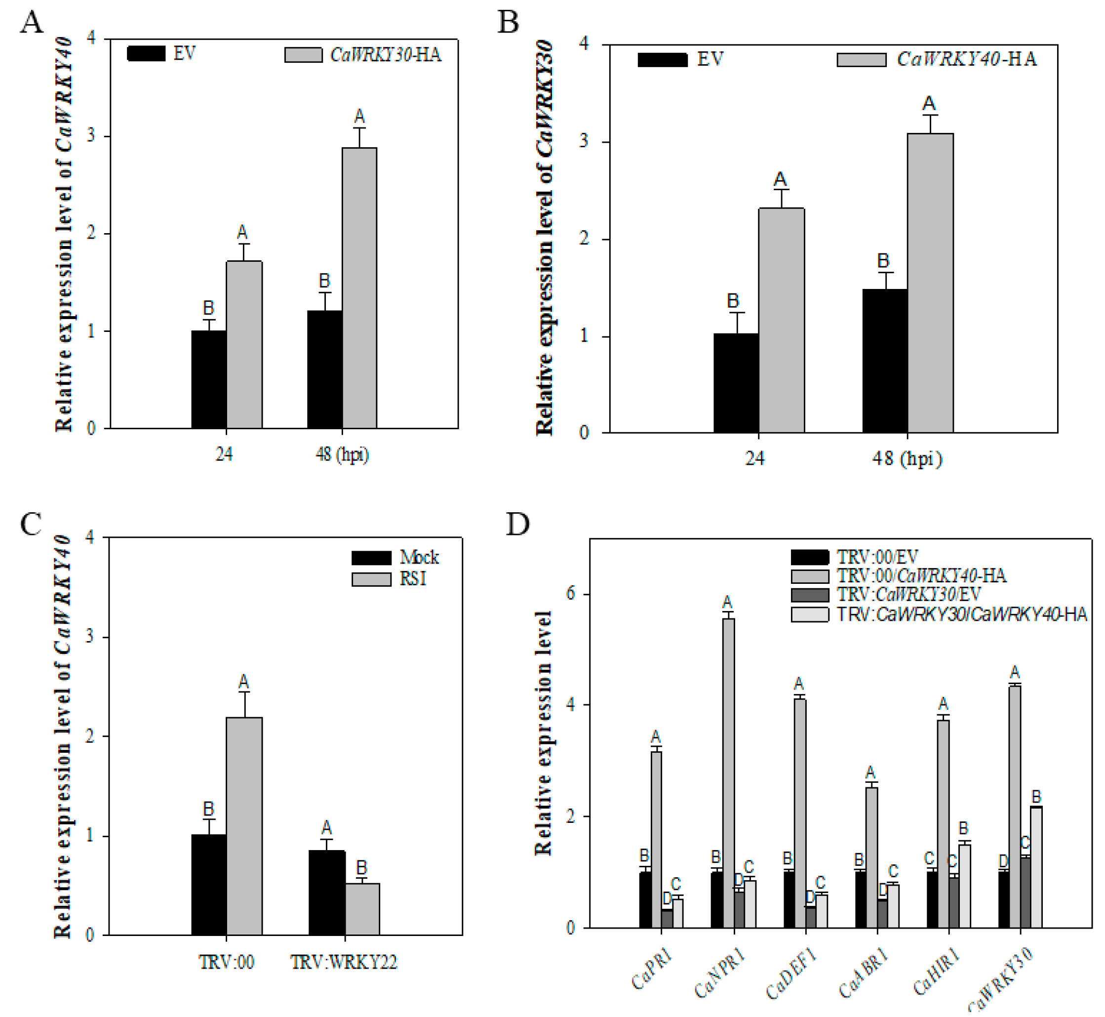 Ijms 22 12091 g006 550