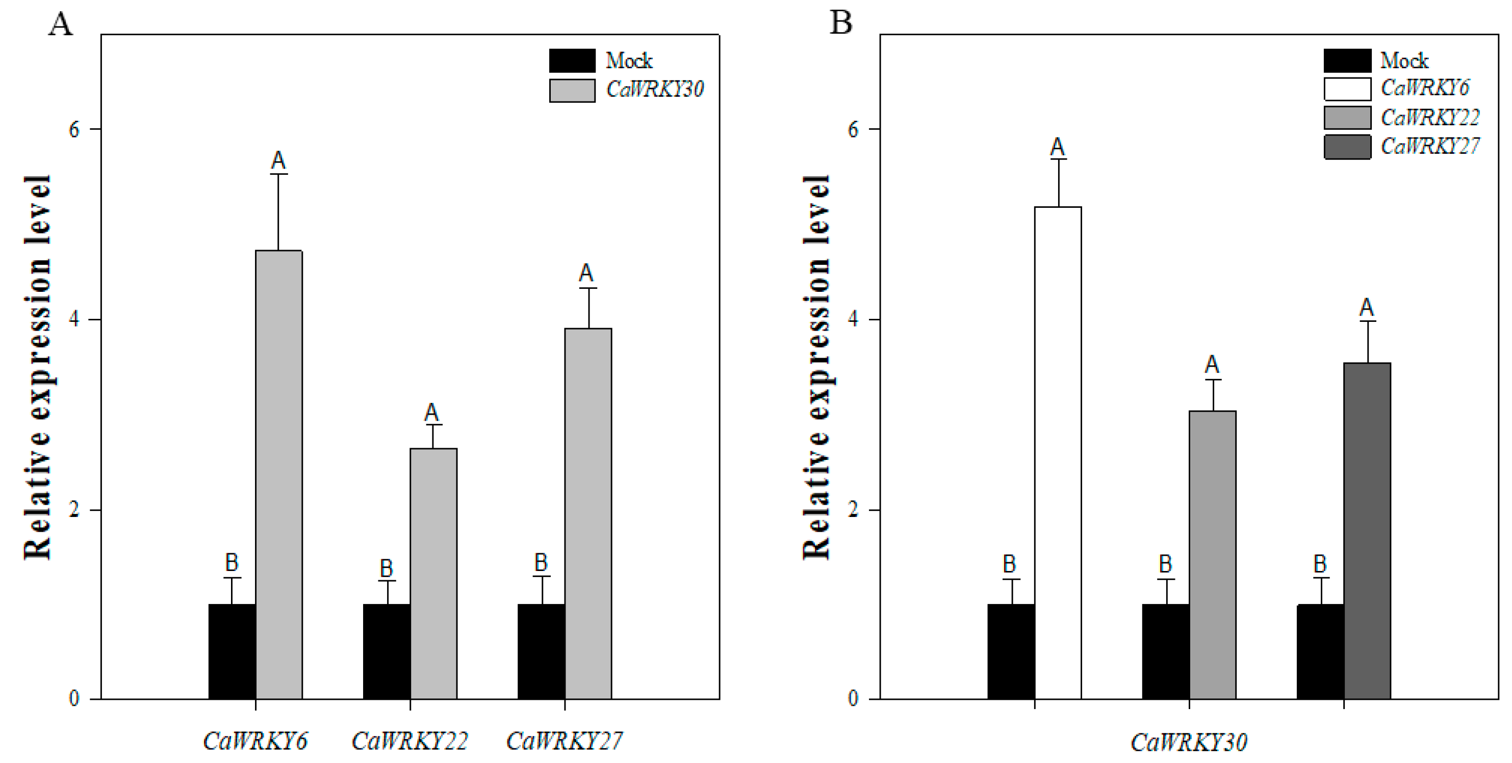 Ijms 22 12091 g007 550