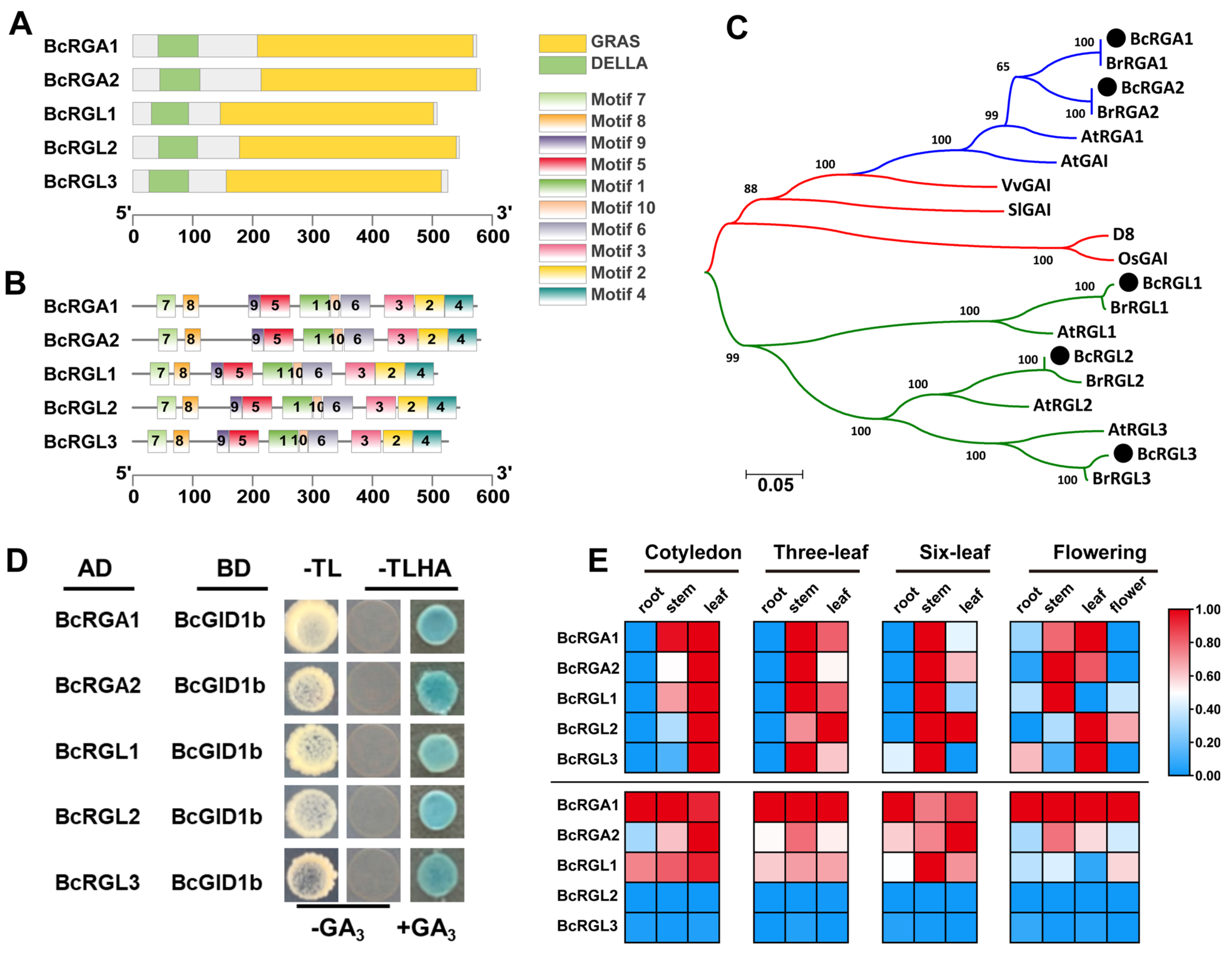 Ijms 22 12092 g002 Ijms 22 12092 g002