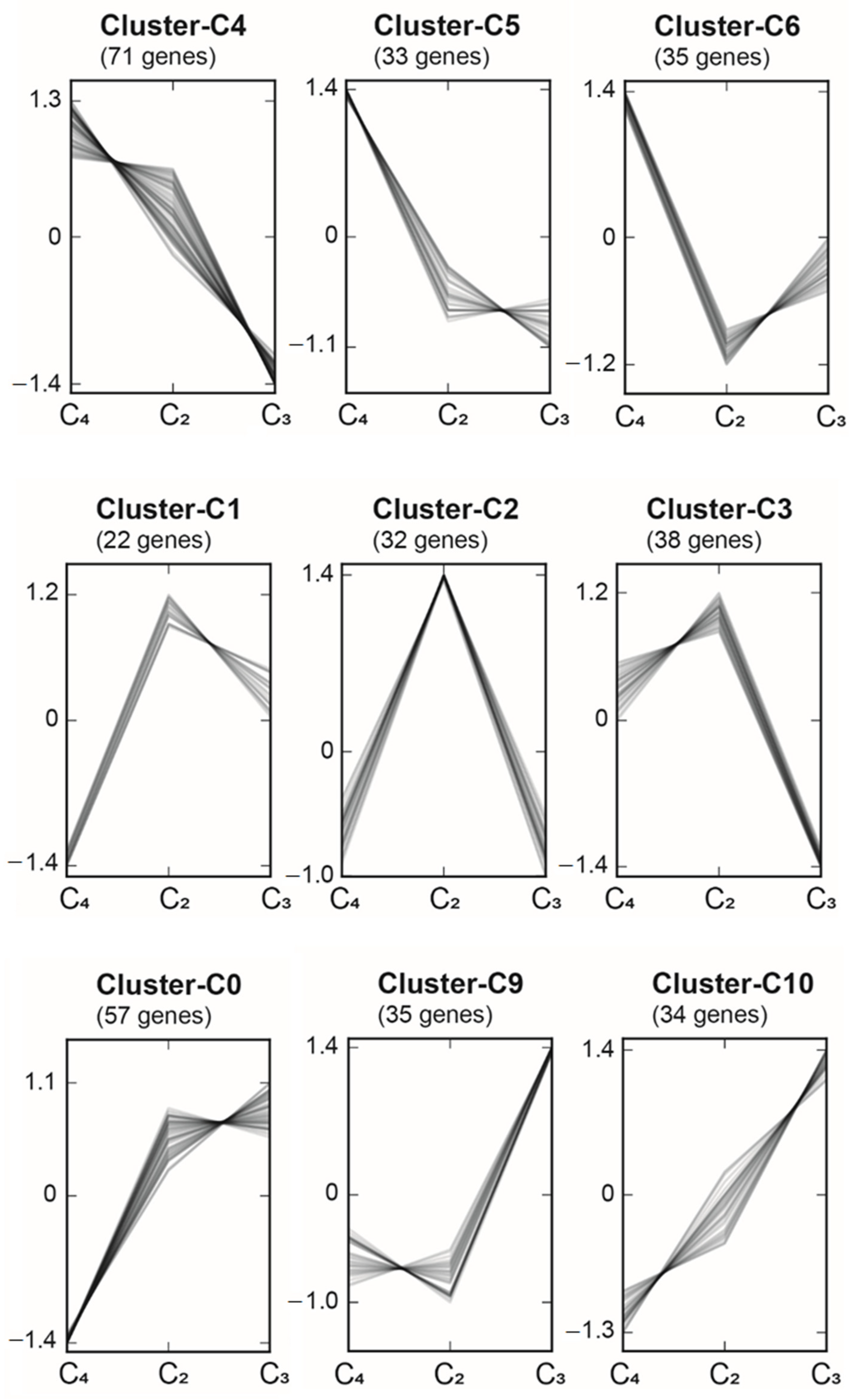 Ijms 22 12120 g003 Ijms 22 12120 g003
