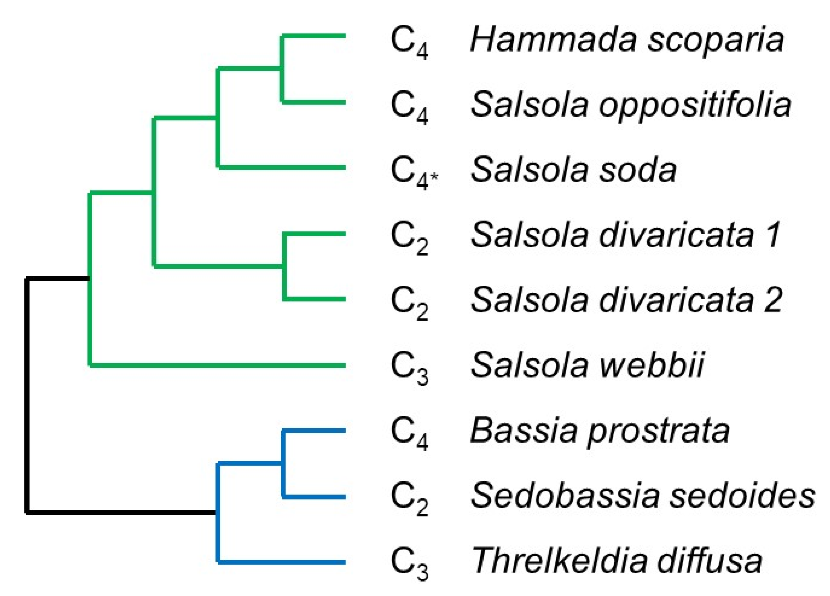 Ijms 22 12120 g004 Ijms 22 12120 g004