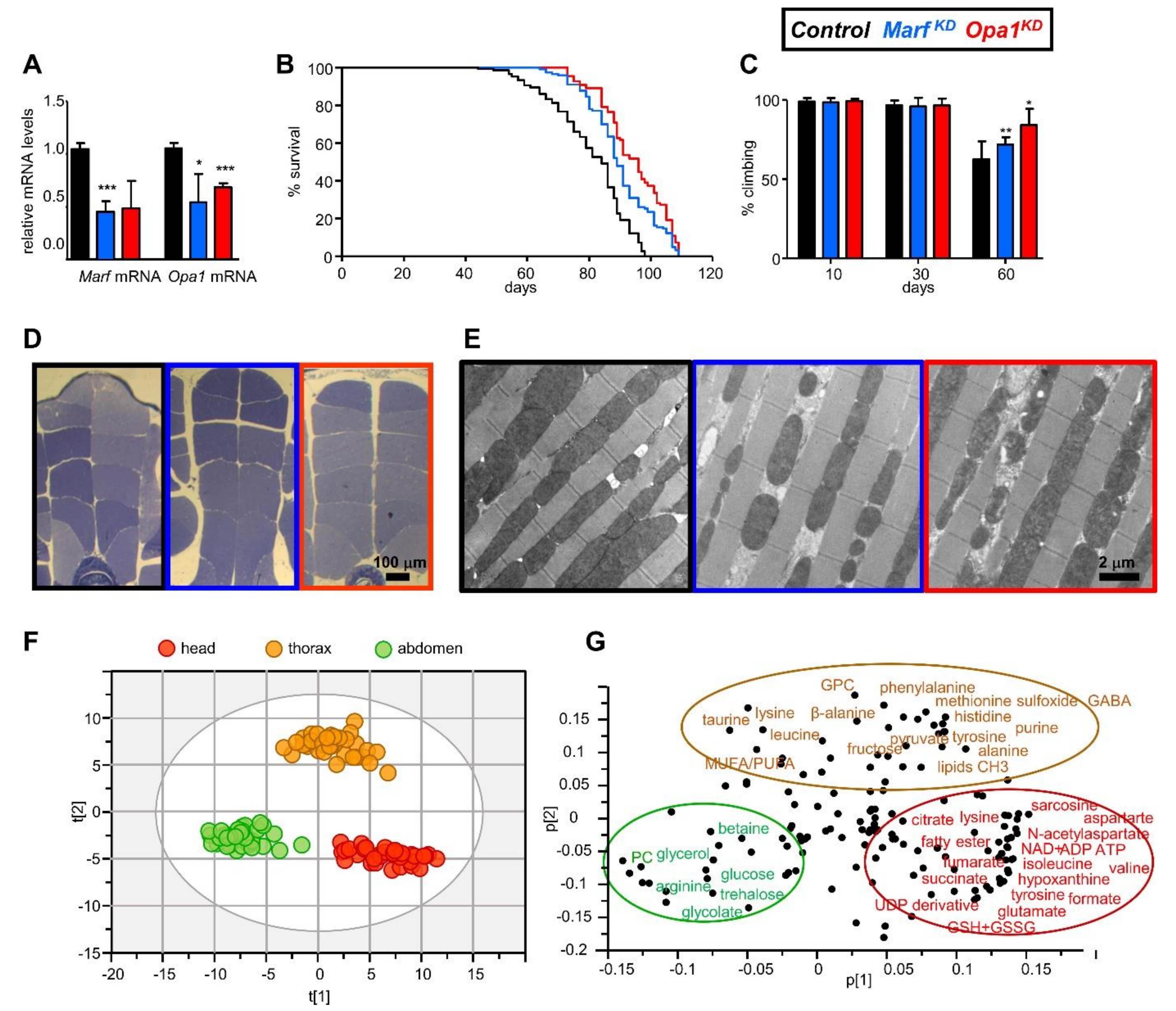 Ijms 22 12133 g001 550