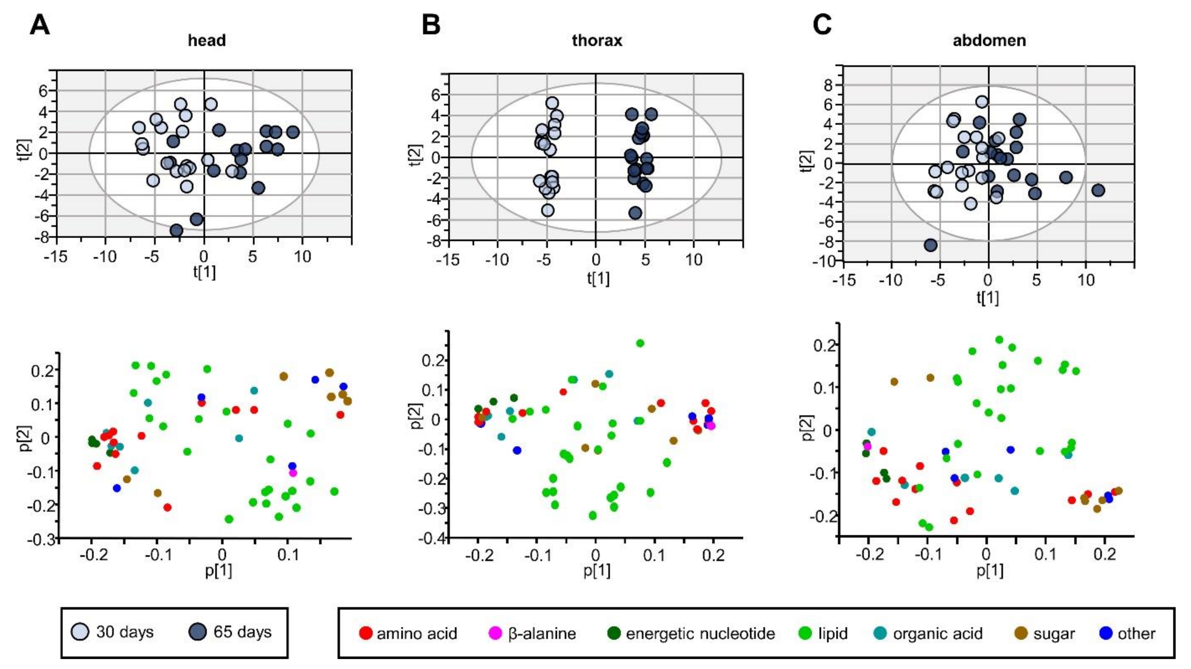 Ijms 22 12133 g002 550