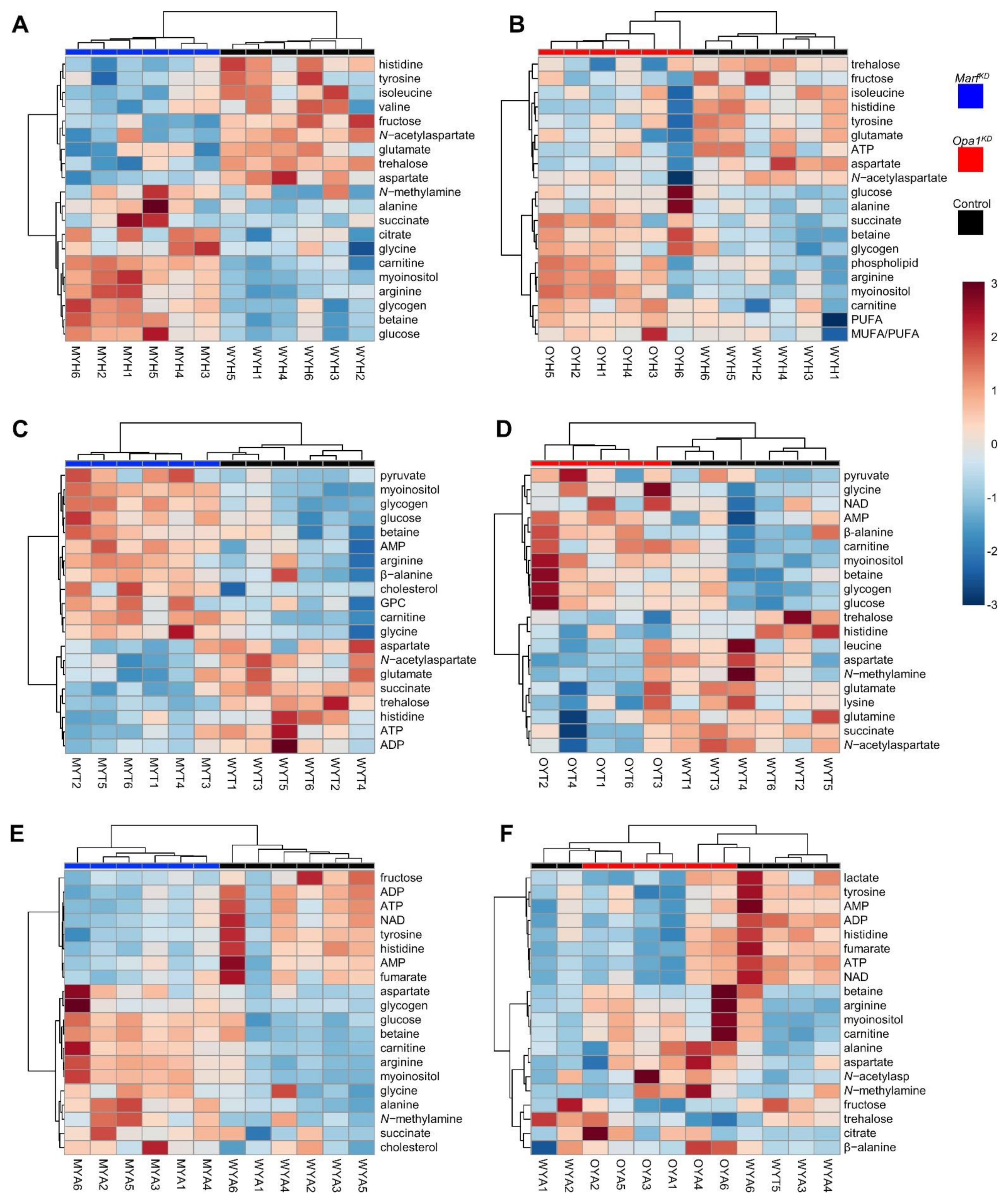 Ijms 22 12133 g004 550