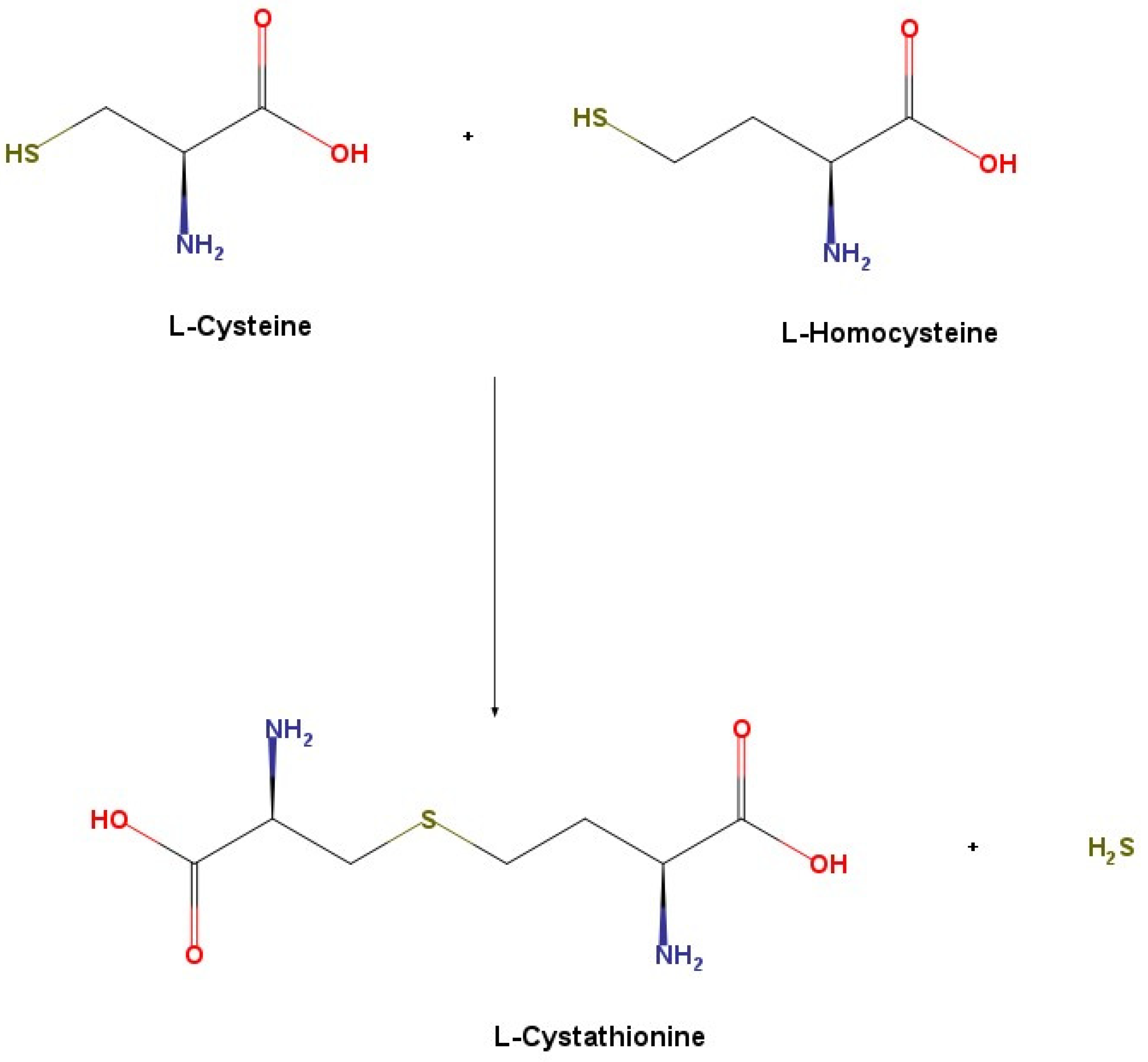 Ijms 22 12136 g002 Ijms 22 12136 g002