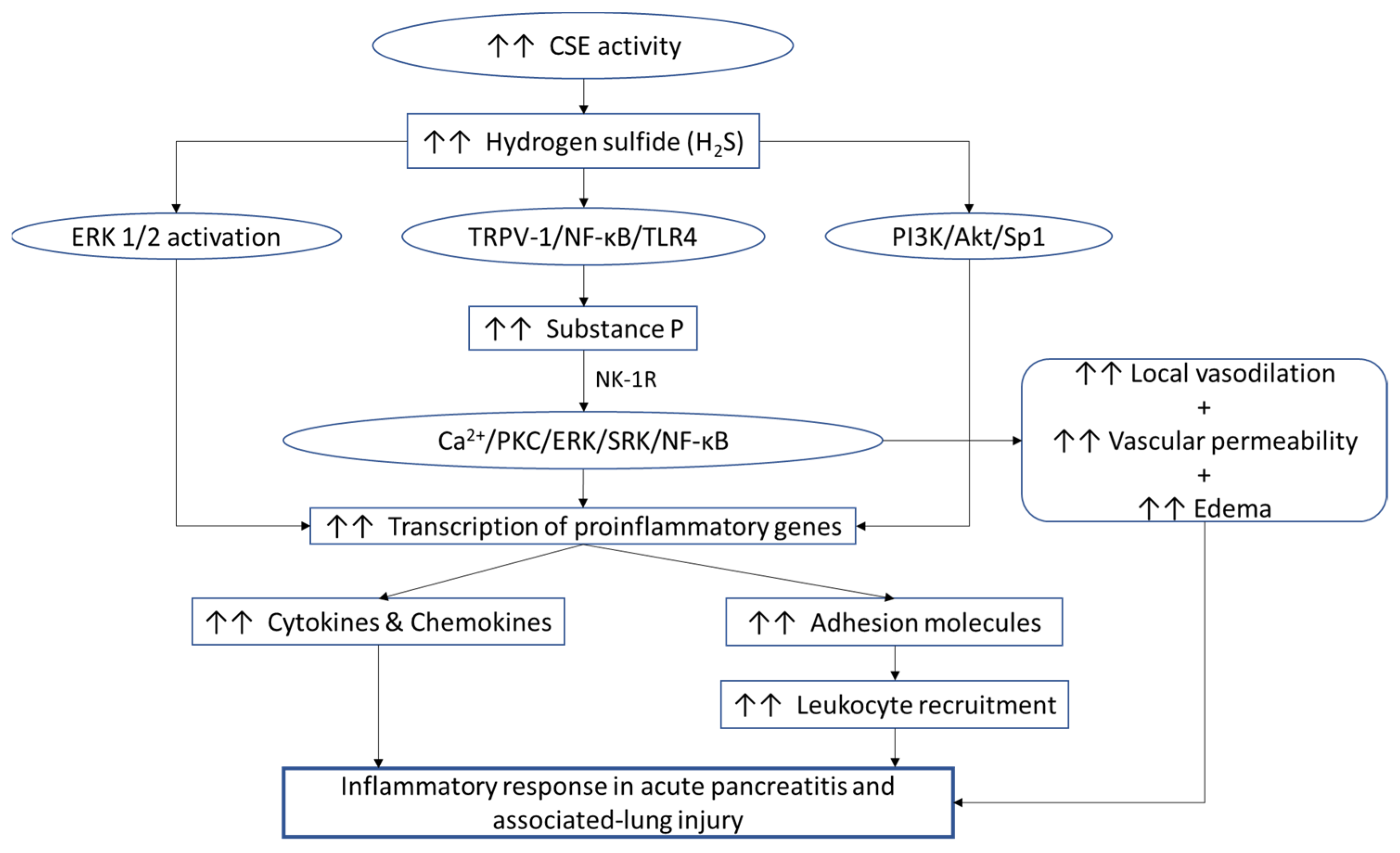 Ijms 22 12136 g004 Ijms 22 12136 g004