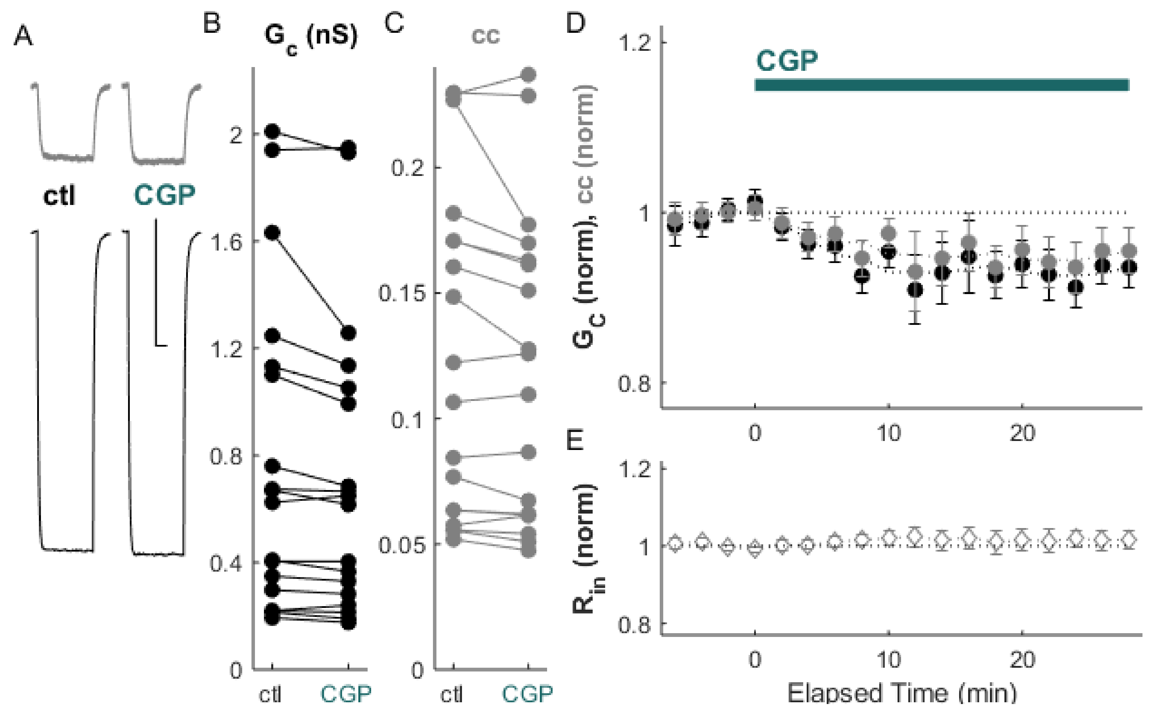 Ijms 22 12138 g001 Ijms 22 12138 g001