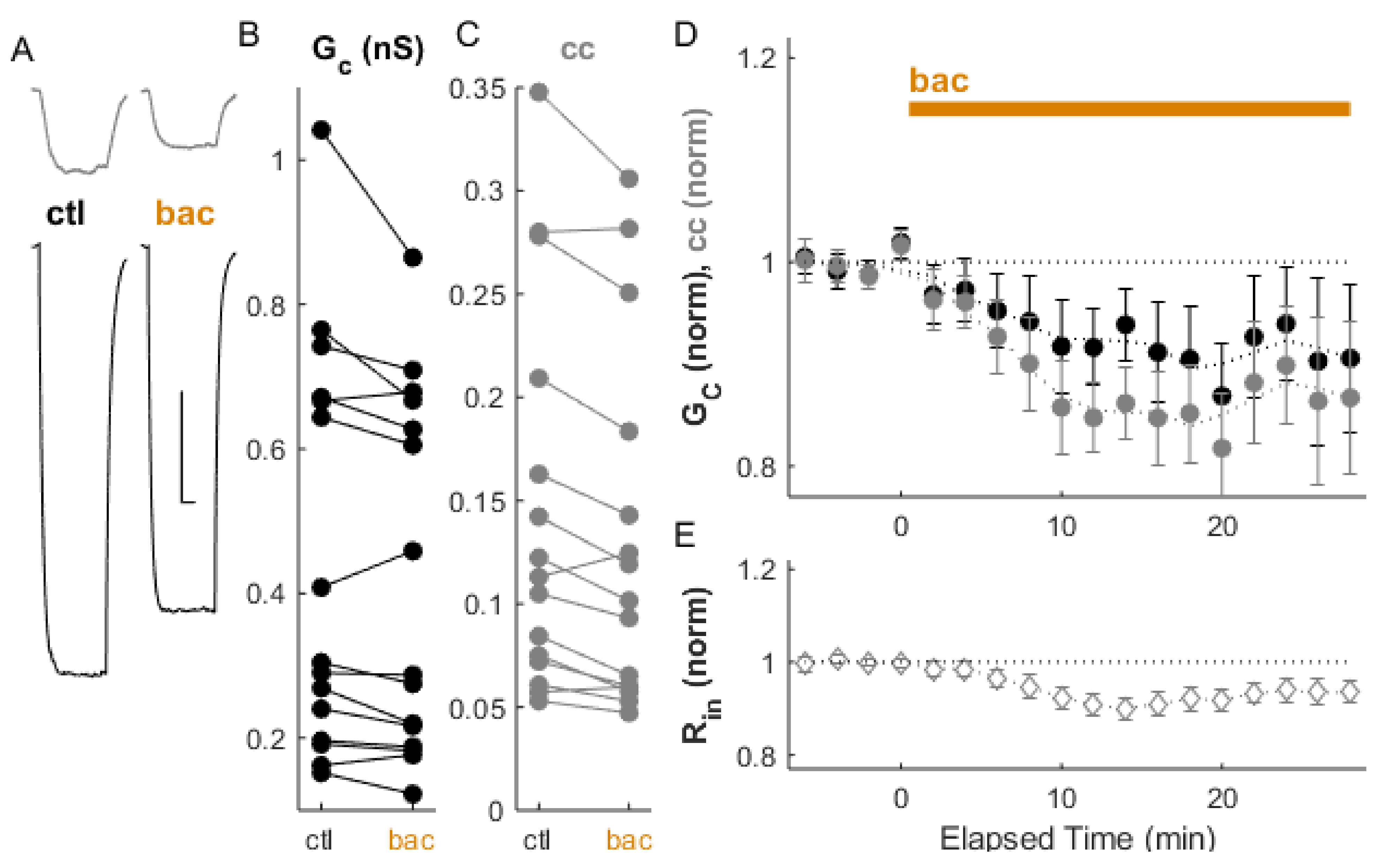 Ijms 22 12138 g002 Ijms 22 12138 g002
