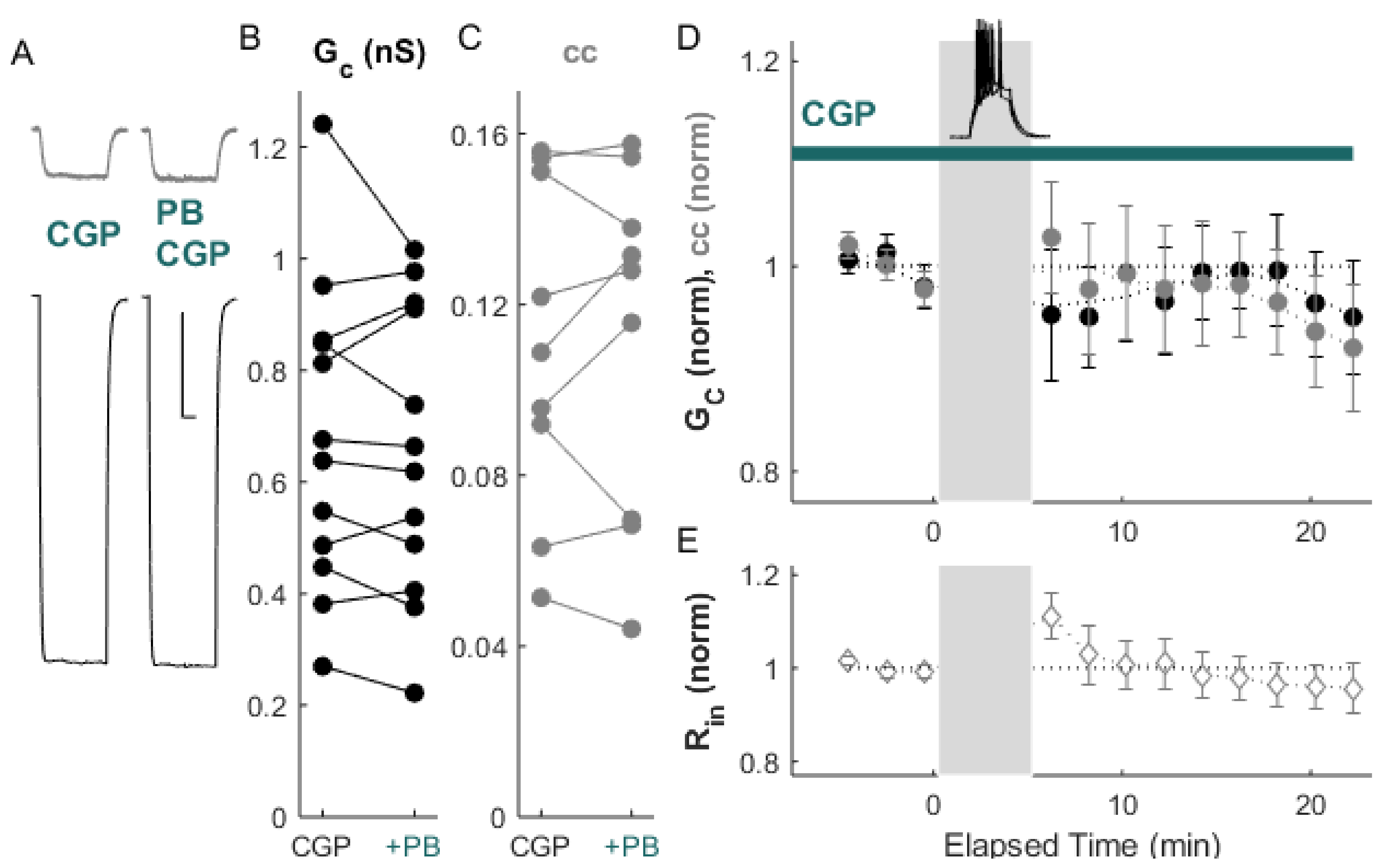 Ijms 22 12138 g004 Ijms 22 12138 g004