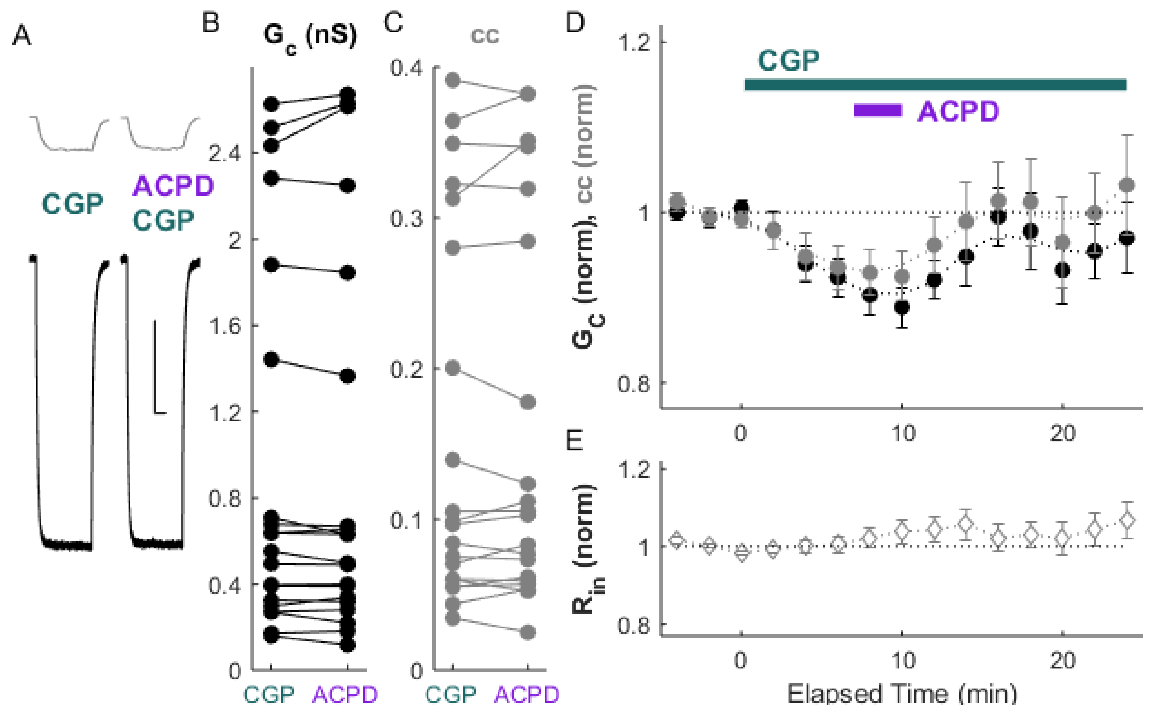 Ijms 22 12138 g005 Ijms 22 12138 g005