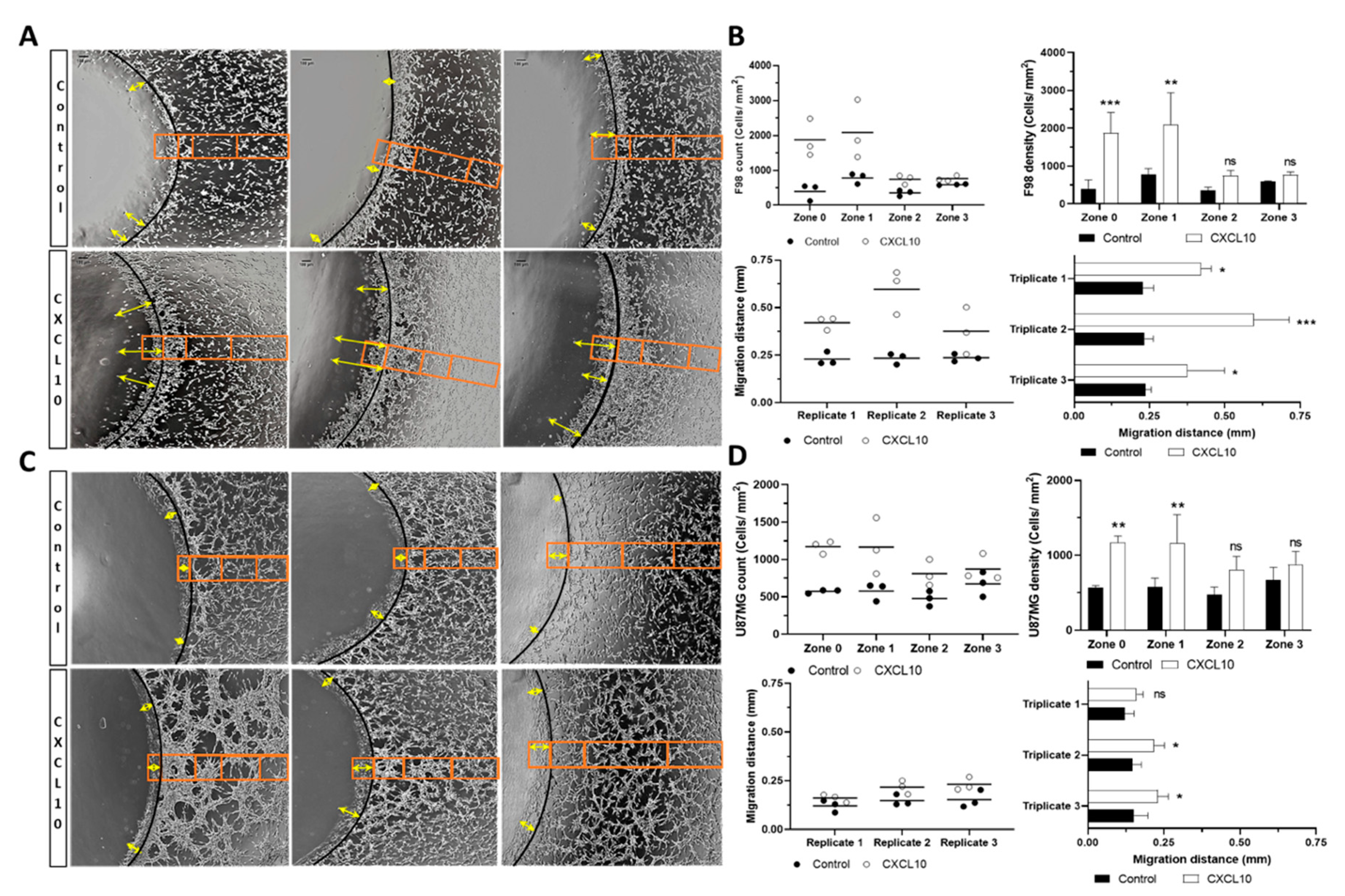 Chemoattraction of Neoplastic Glial Cells with CXCL10, CCL2