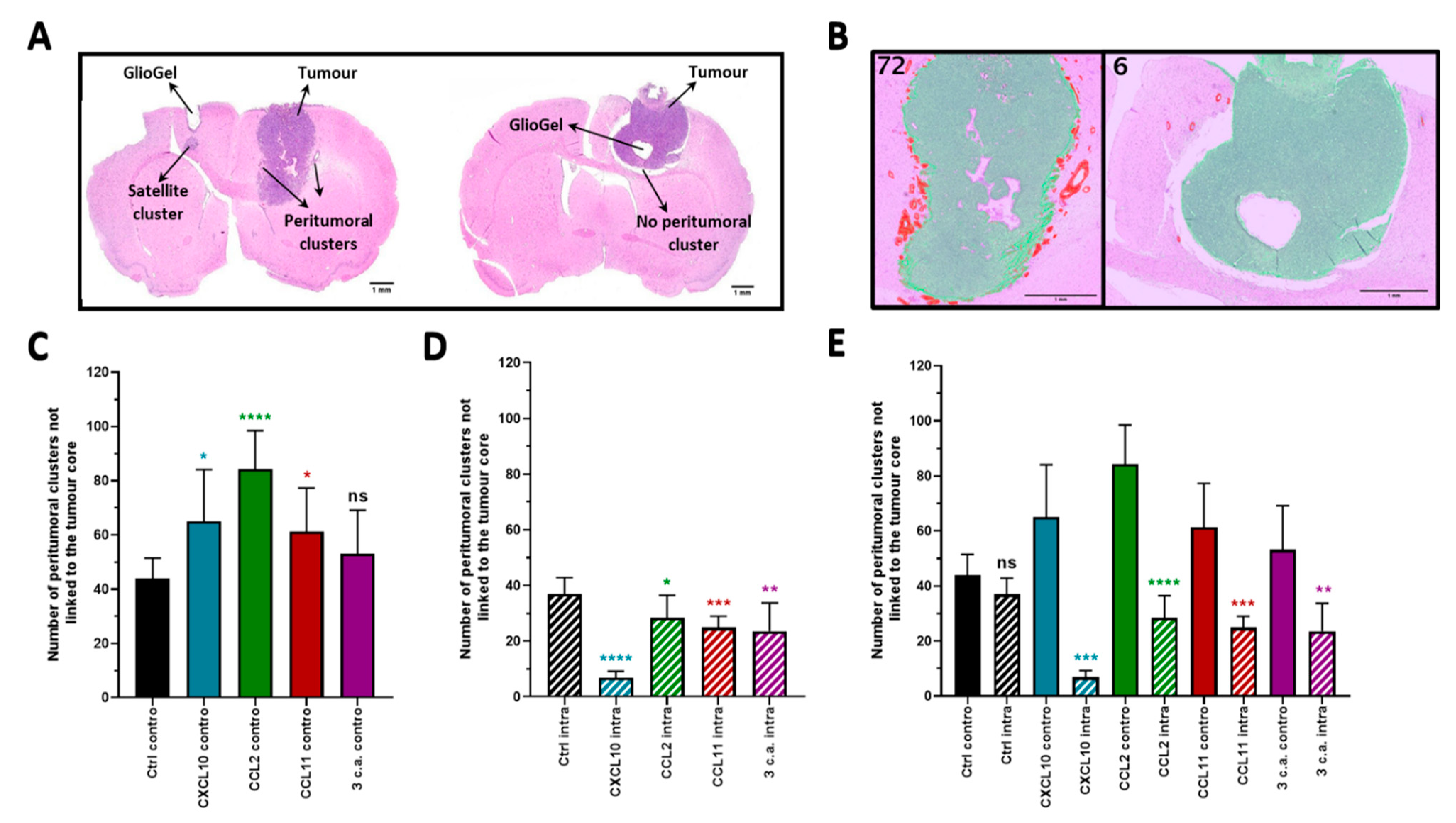 Ijms 22 12150 g003 550