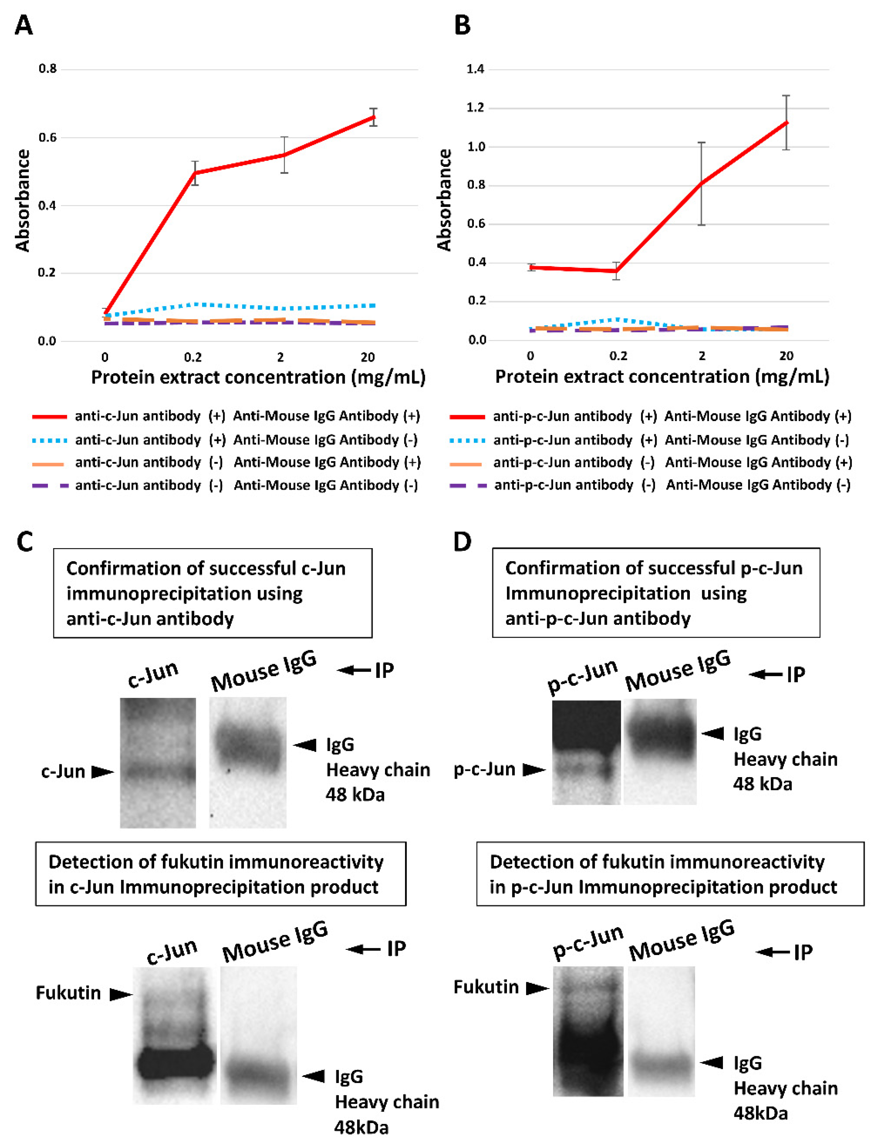 Ijms 22 12153 g005 Ijms 22 12153 g005