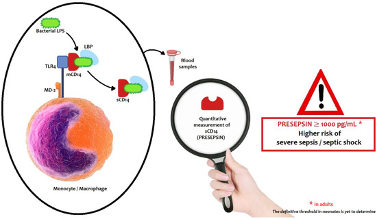 ijms free full text the emerging role of presepsin p sep in the diagnosis of sepsis in the critically ill infant a literature review html