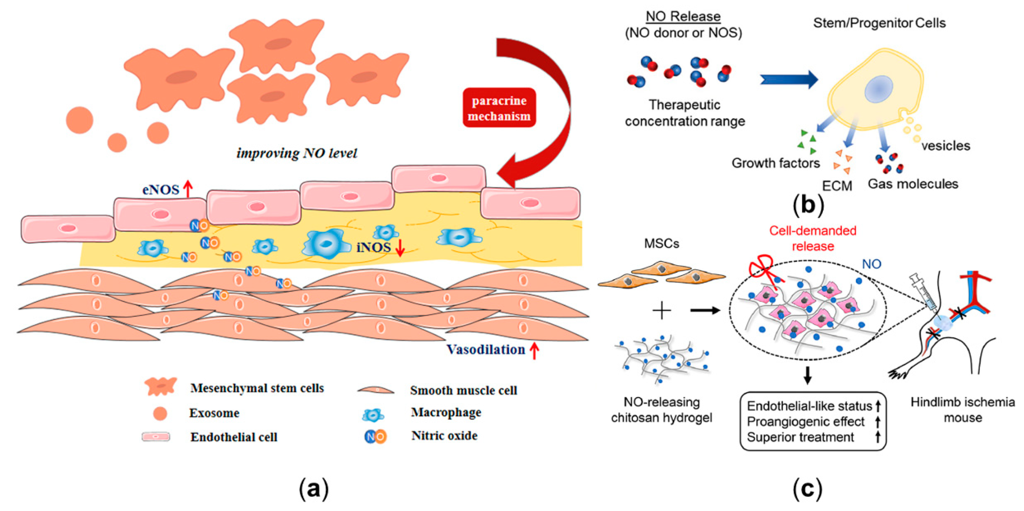 Ijms 22 12166 g005 Ijms 22 12166 g005