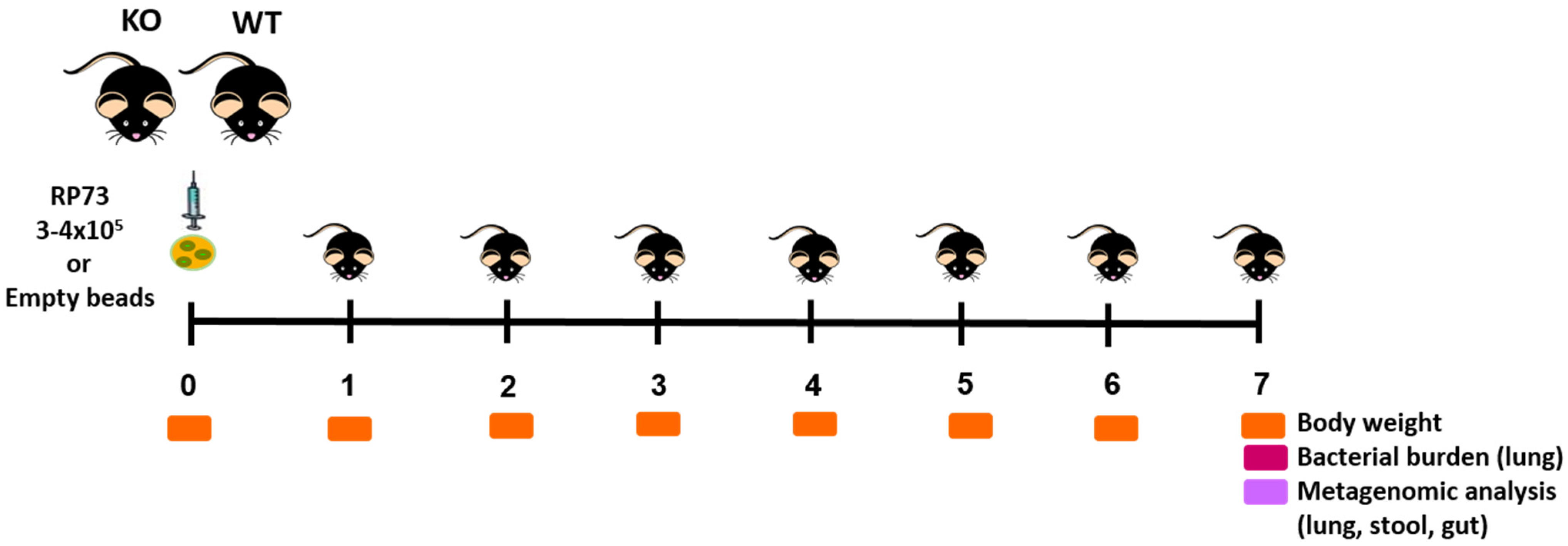 Ijms 22 12169 g005 550