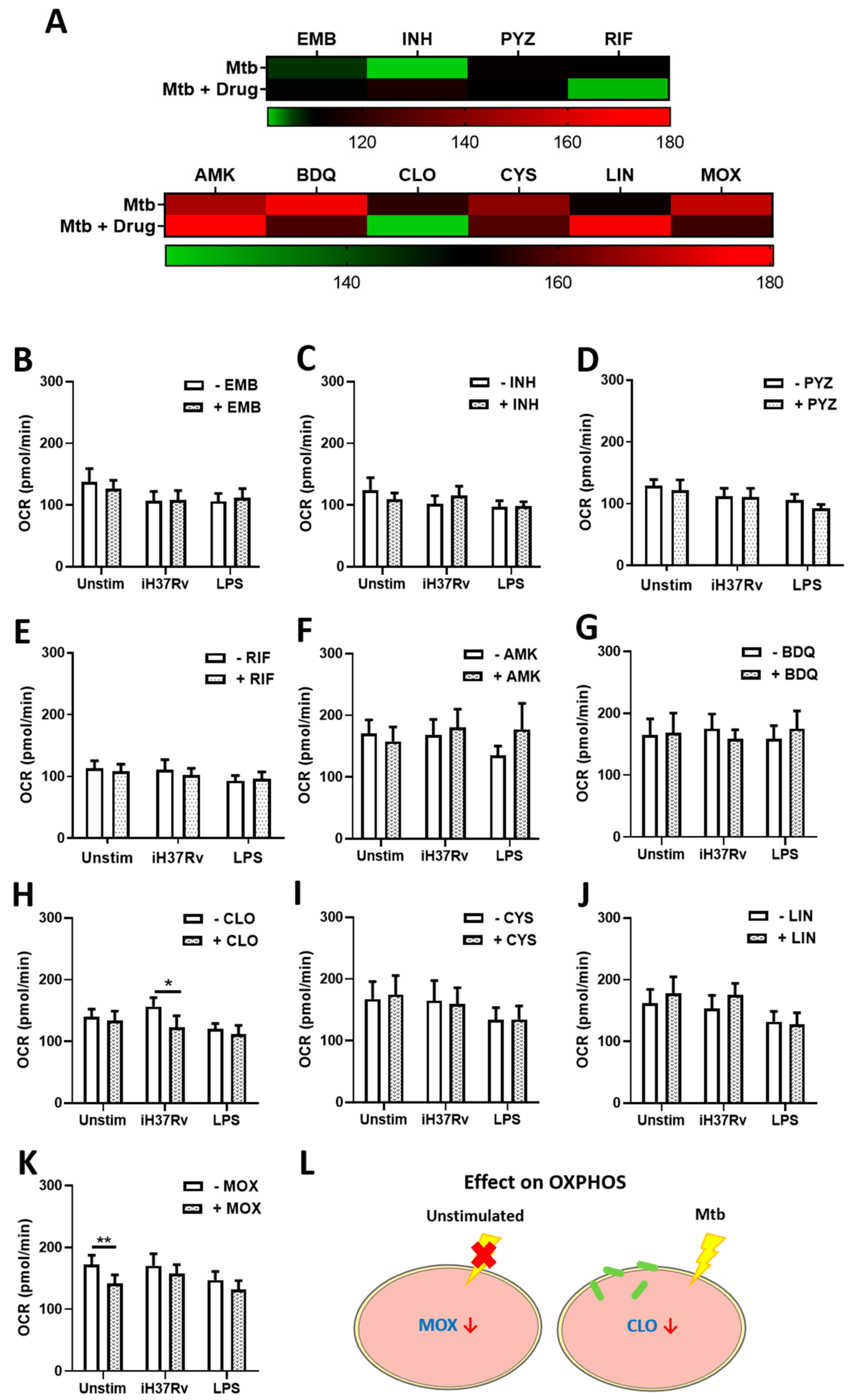 Ijms 22 12189 g002 550