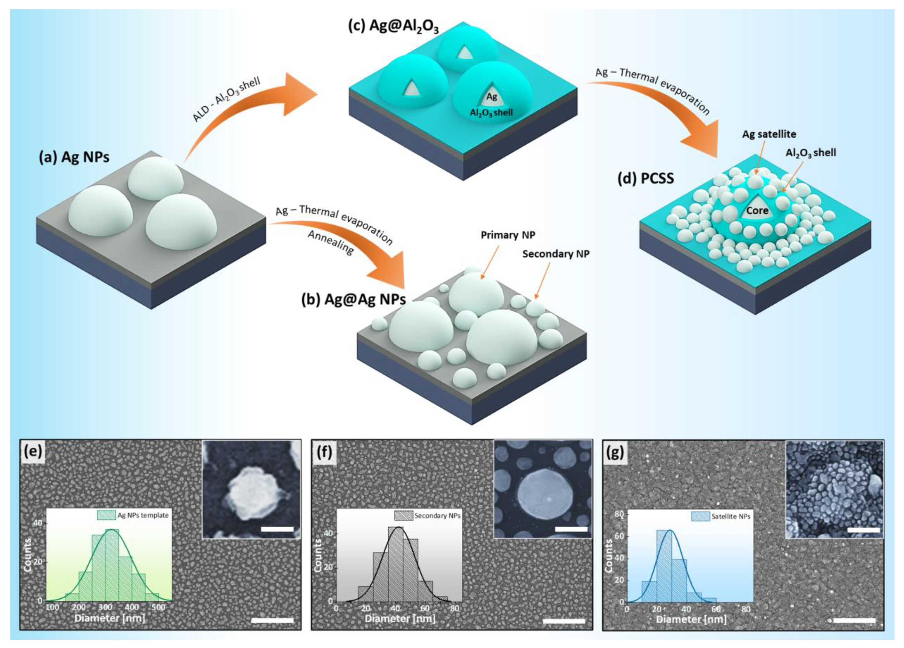 Ijms 22 12191 g001 550