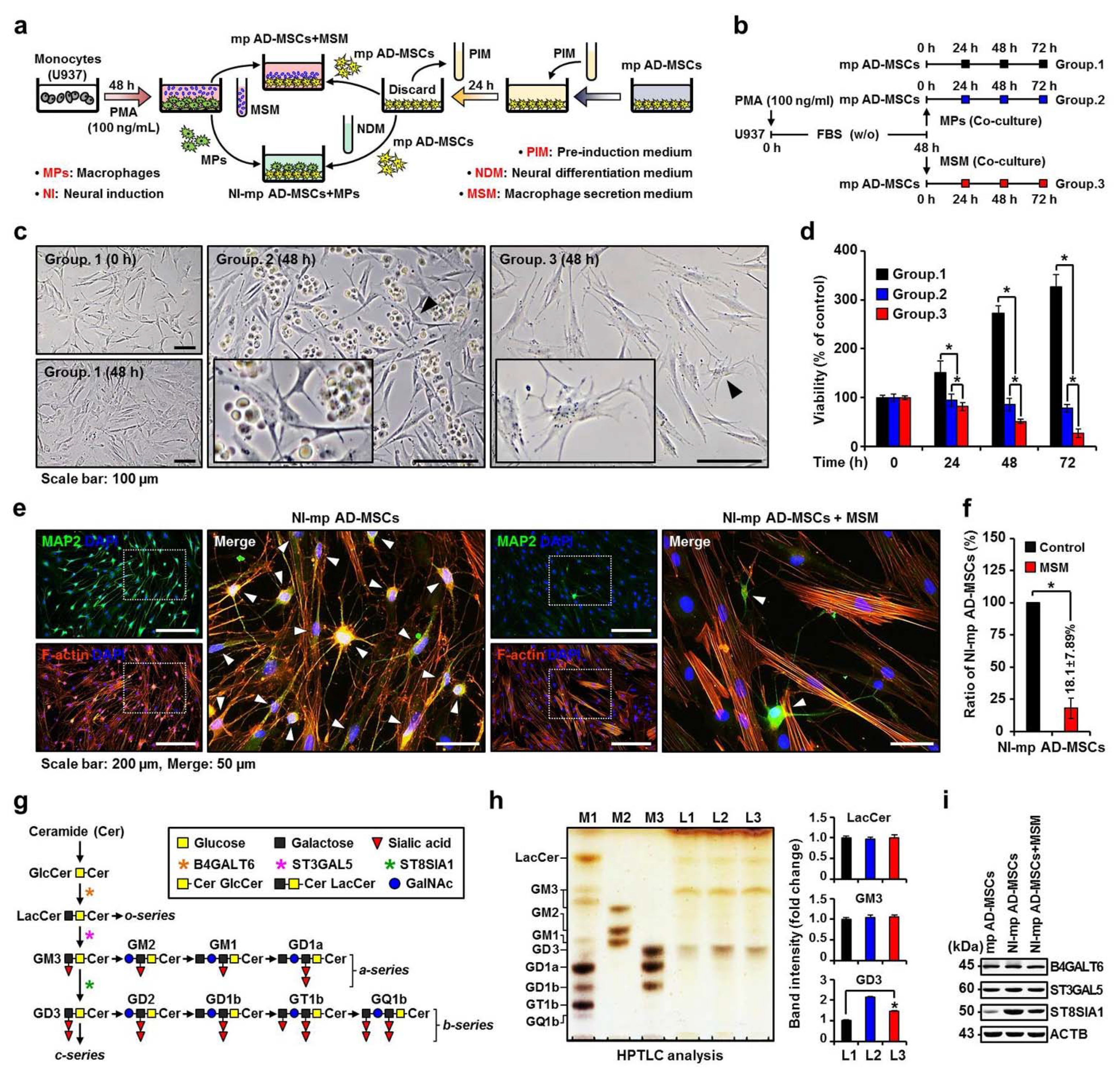 Ijms 22 12194 g001 Ijms 22 12194 g001