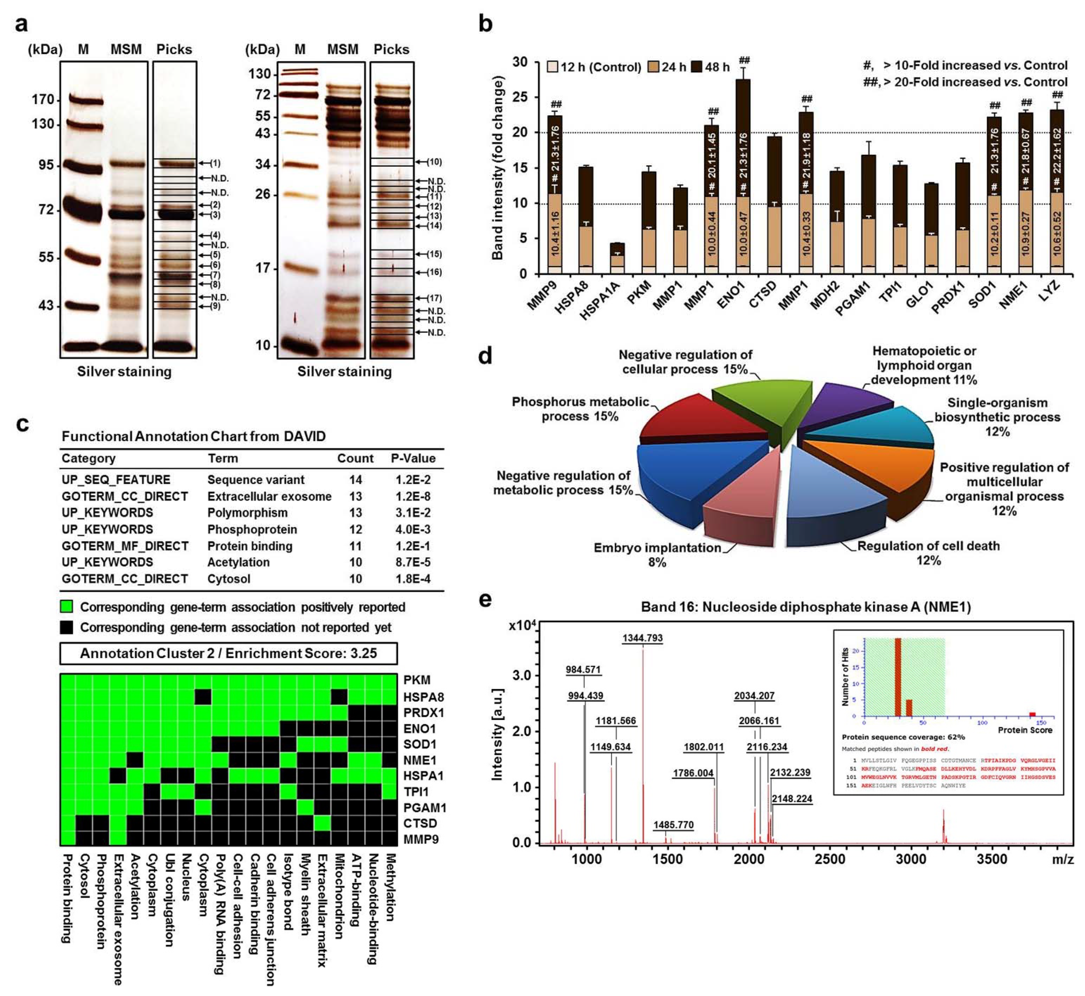 Ijms 22 12194 g002 Ijms 22 12194 g002