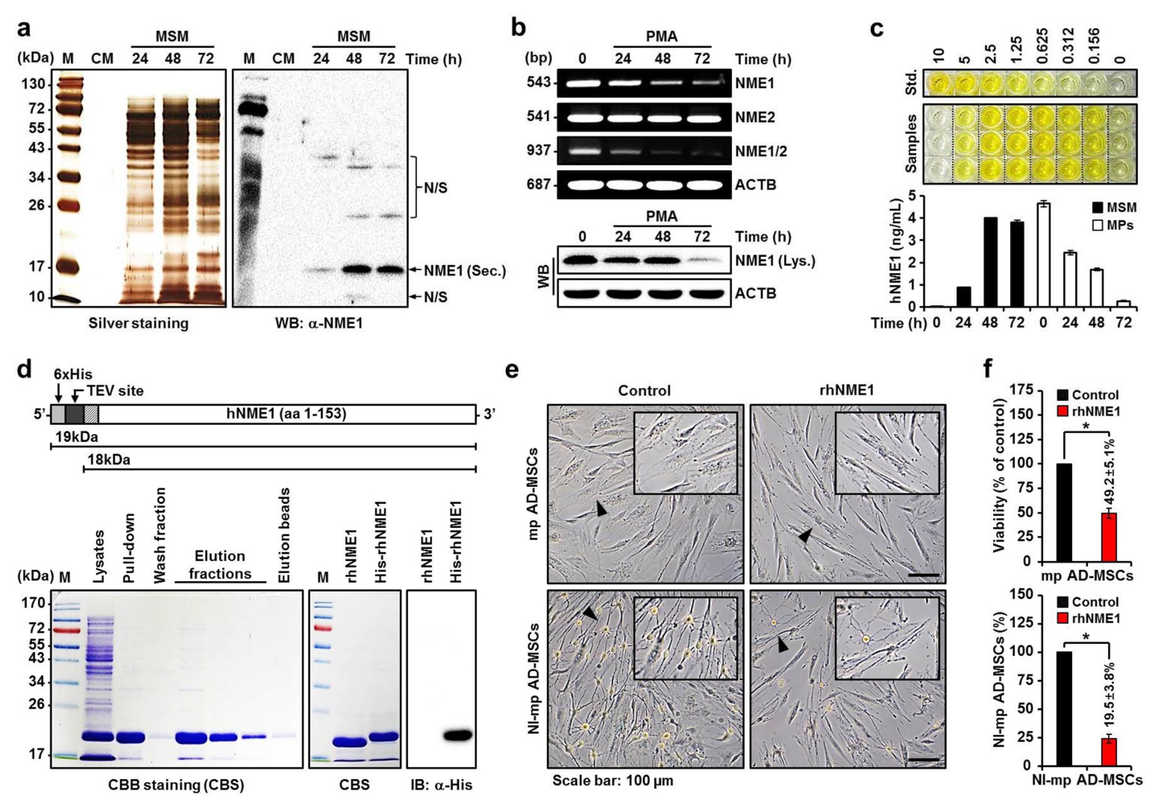 Ijms 22 12194 g003 Ijms 22 12194 g003