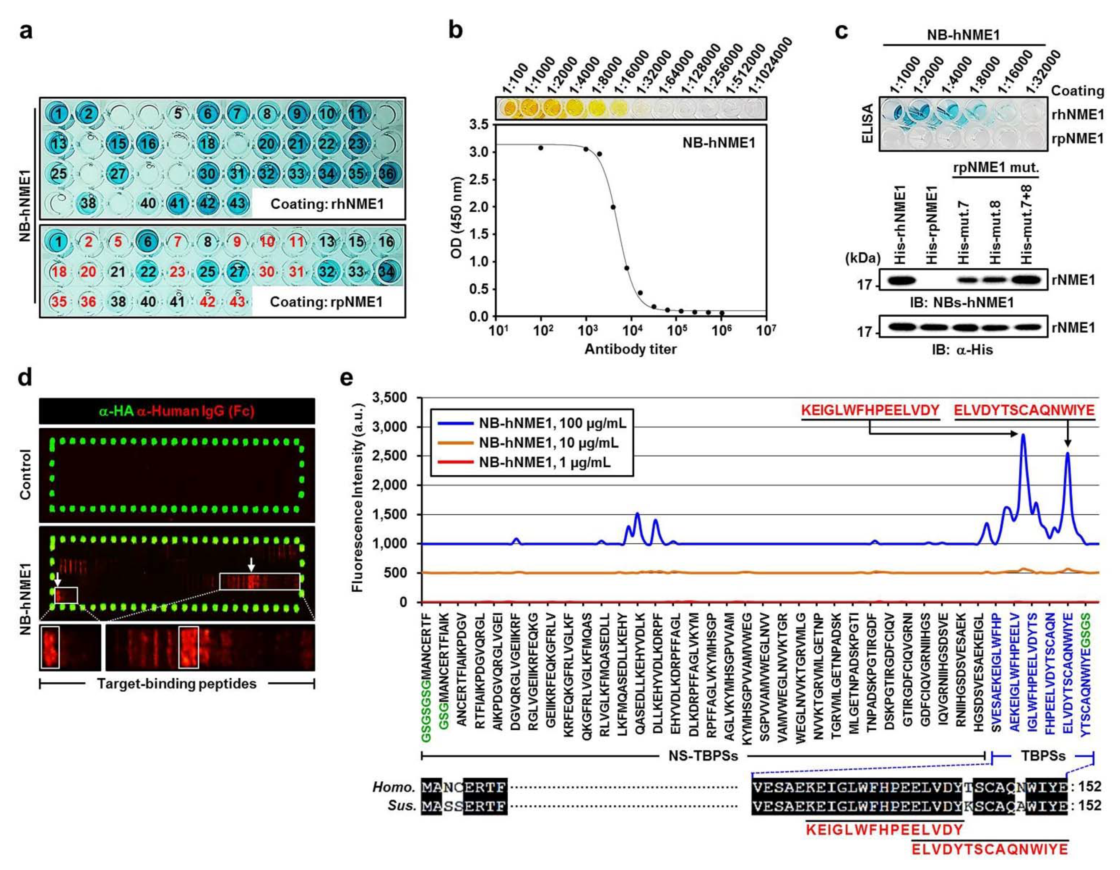Ijms 22 12194 g006 Ijms 22 12194 g006