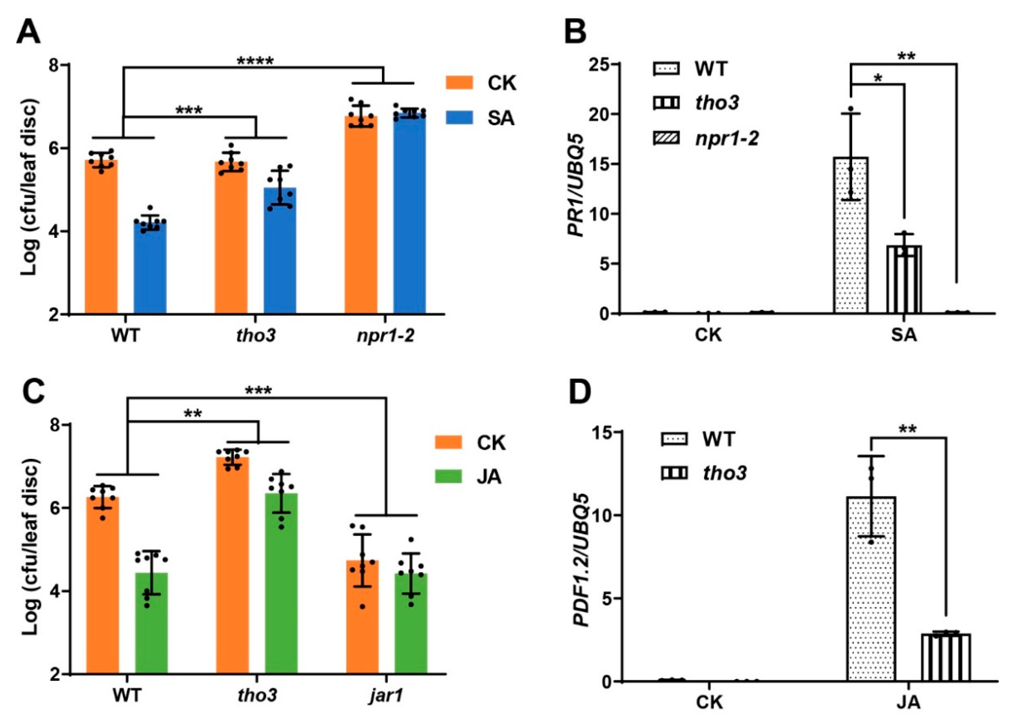 IJMS | Free Full-Text | The THO/TREX Complex Active in Alternative 