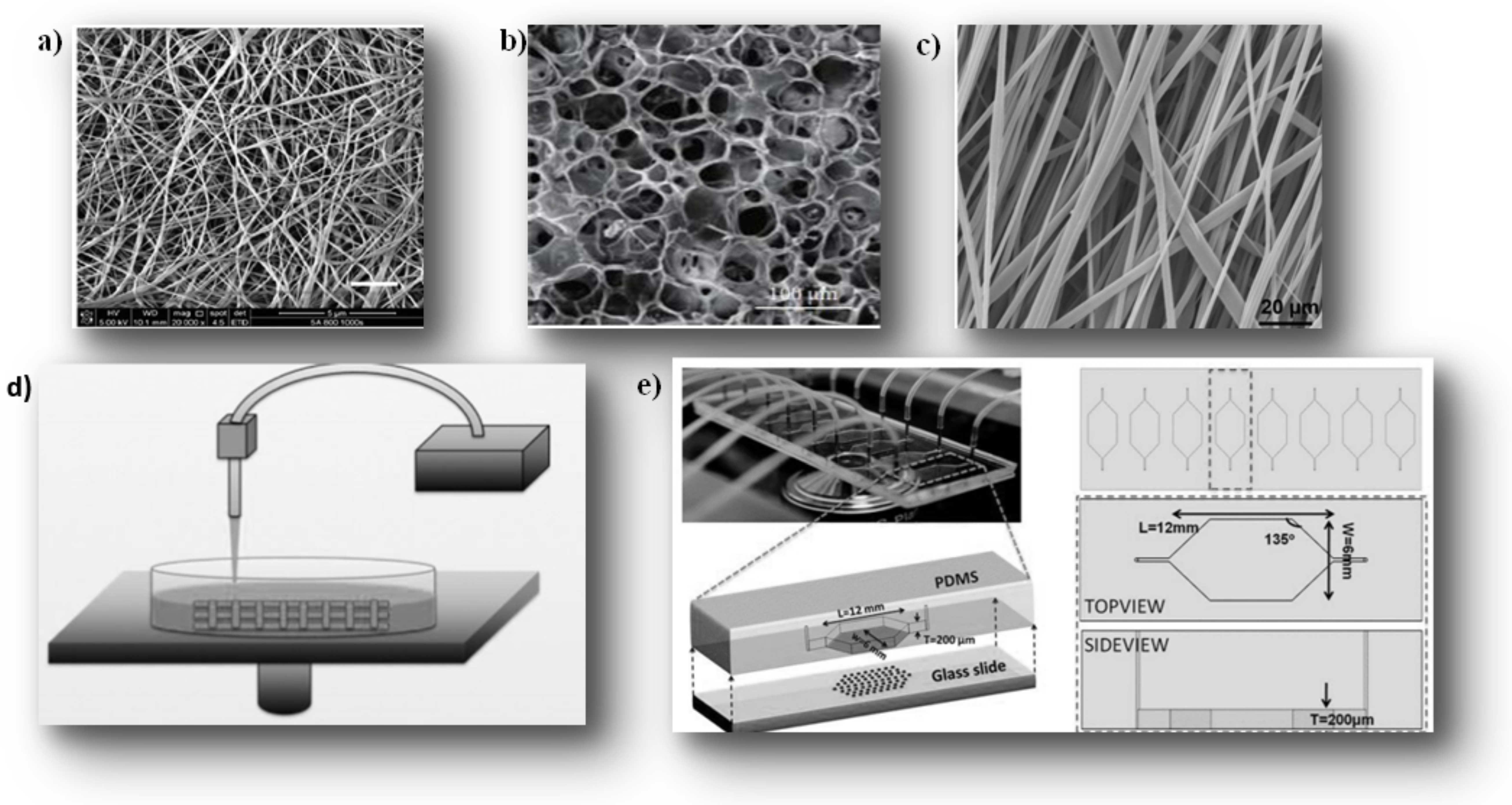 Ijms 22 12200 g003 Ijms 22 12200 g003