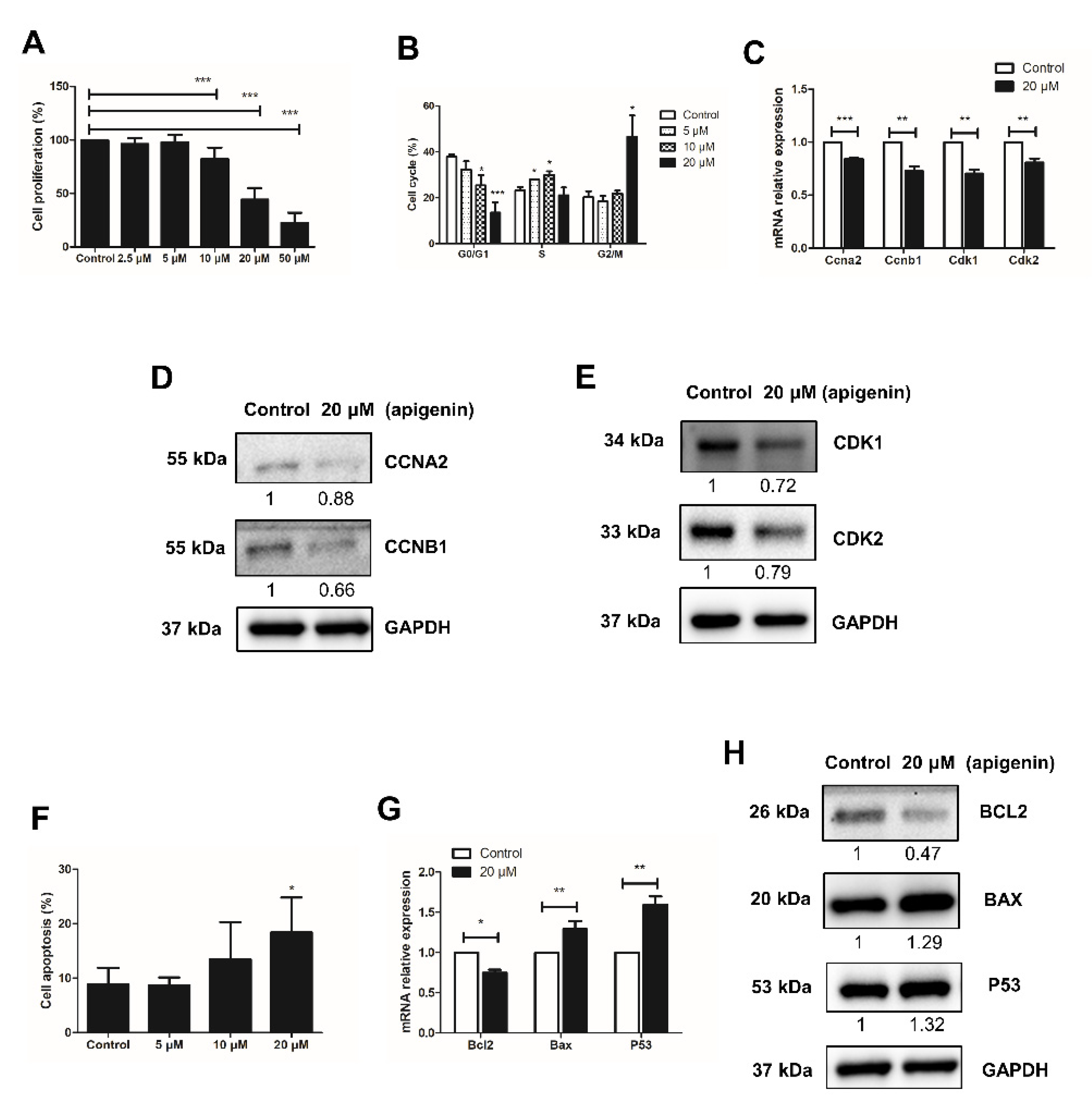 Ijms 22 12209 g001 550